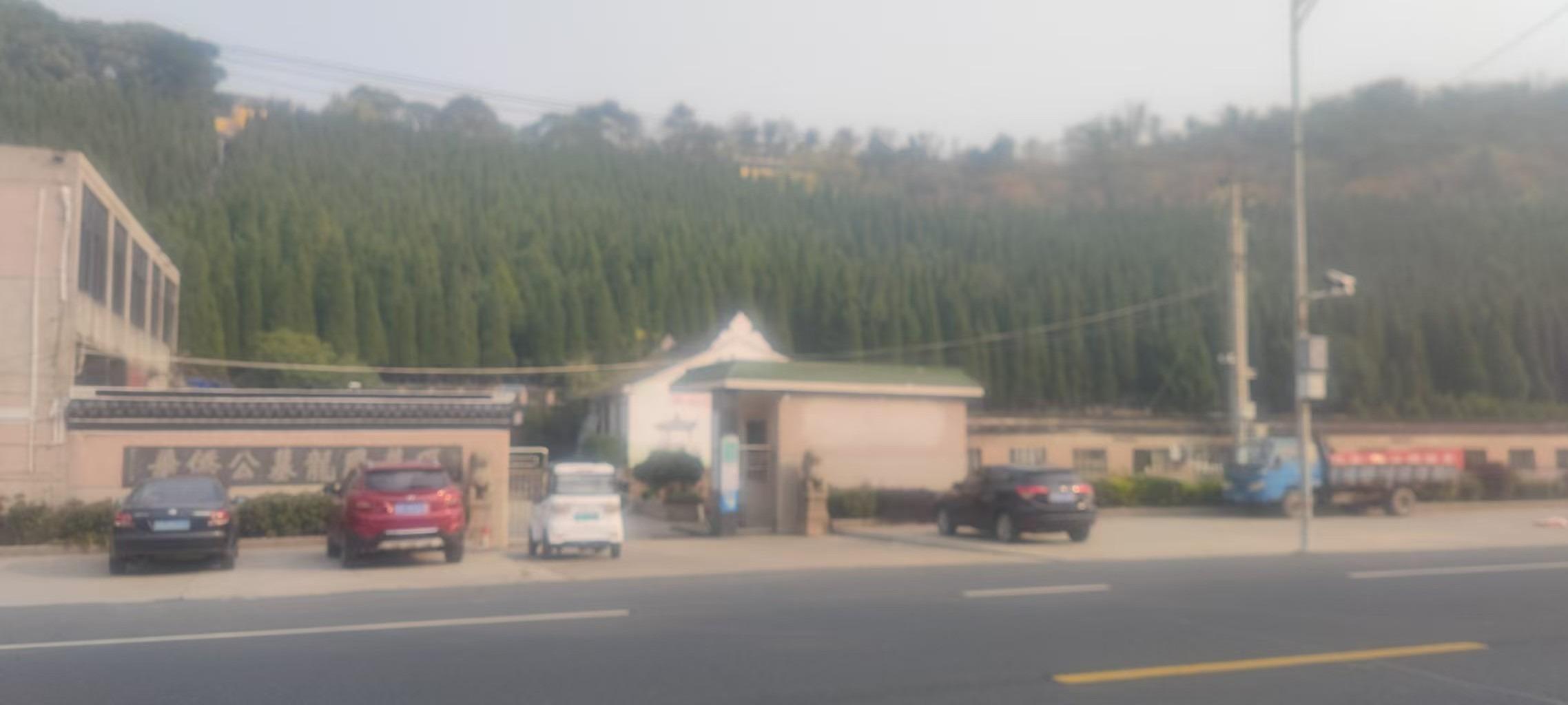 常州市凤凰山华侨公墓龙凤墓区