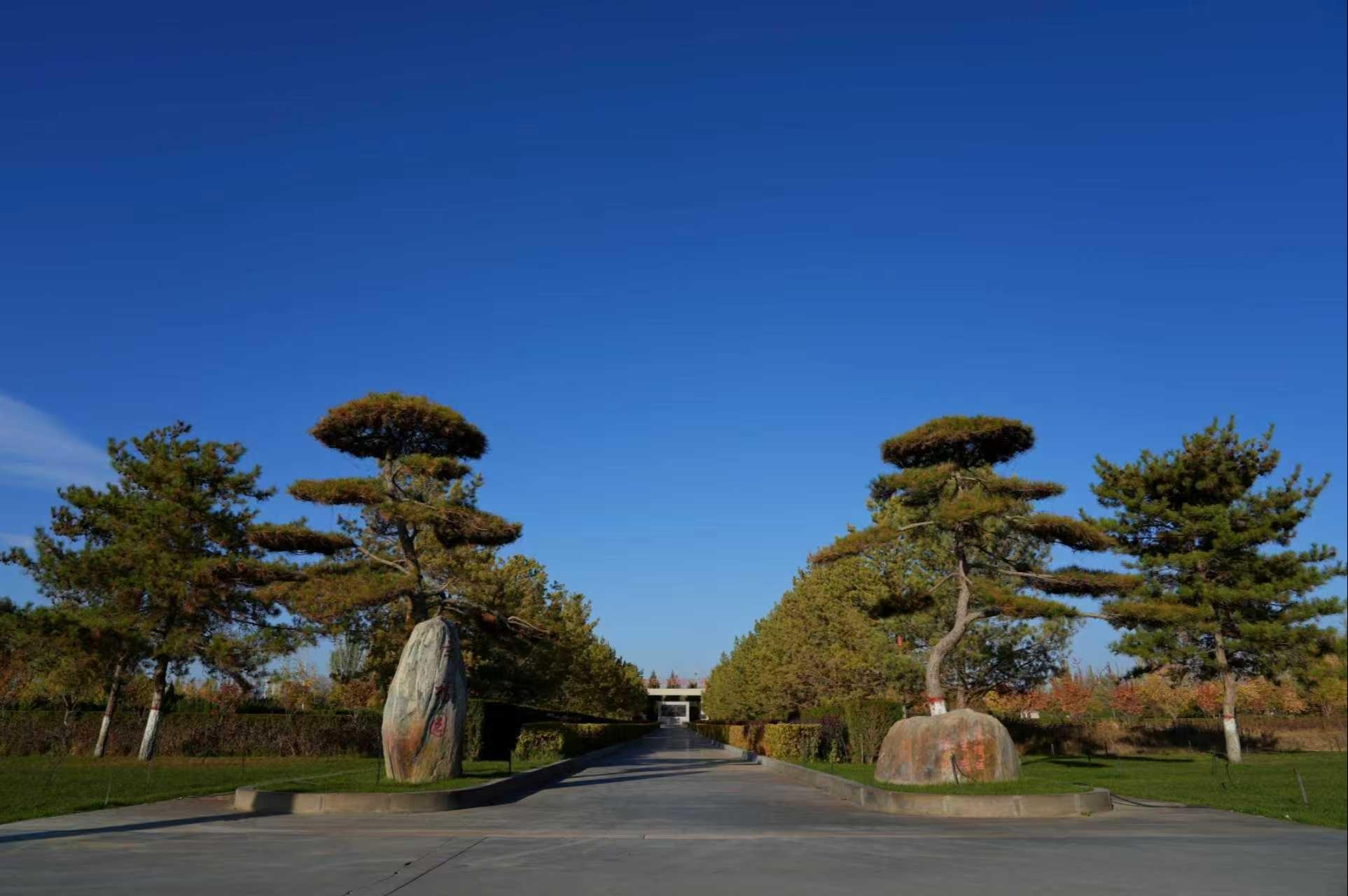 银川松鹤陵园园区图片