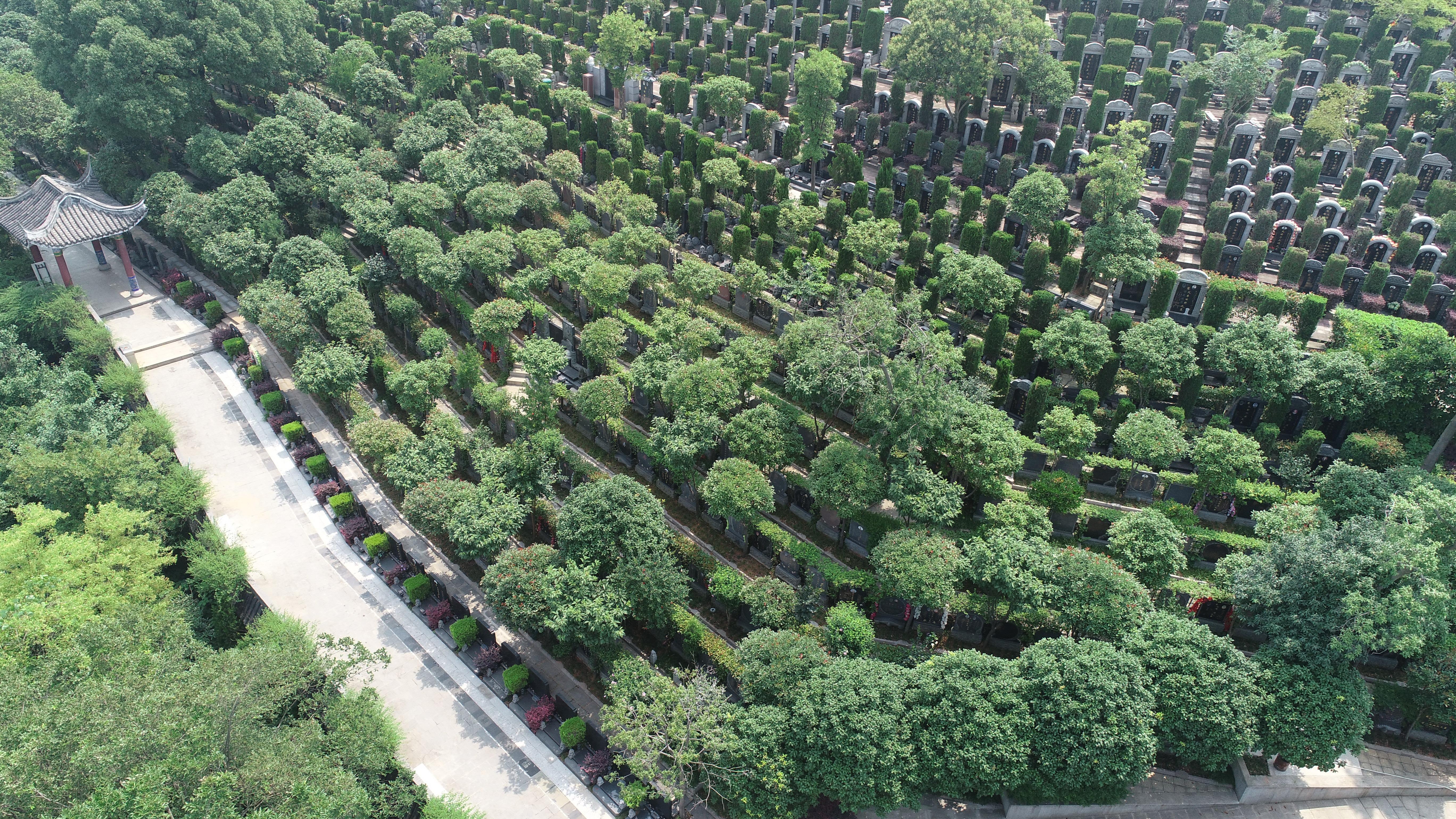 长沙市上善园园陵有限责任公司园区图片