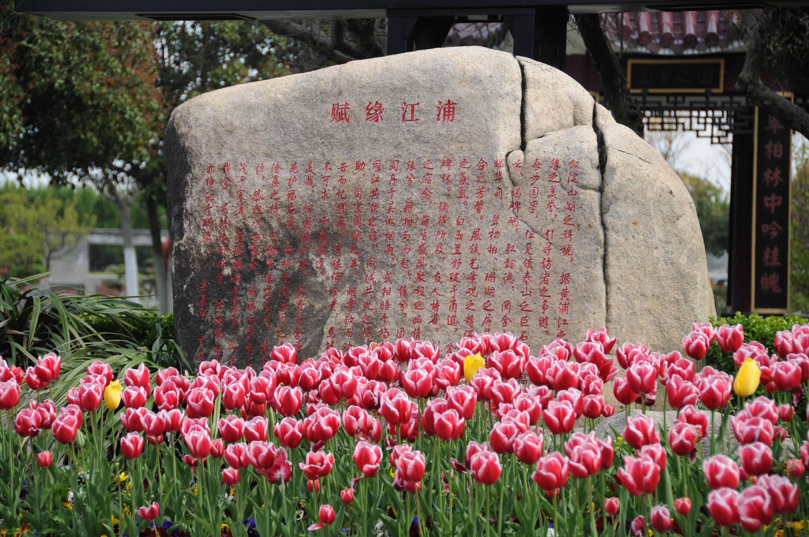 淀山湖归园园区图片