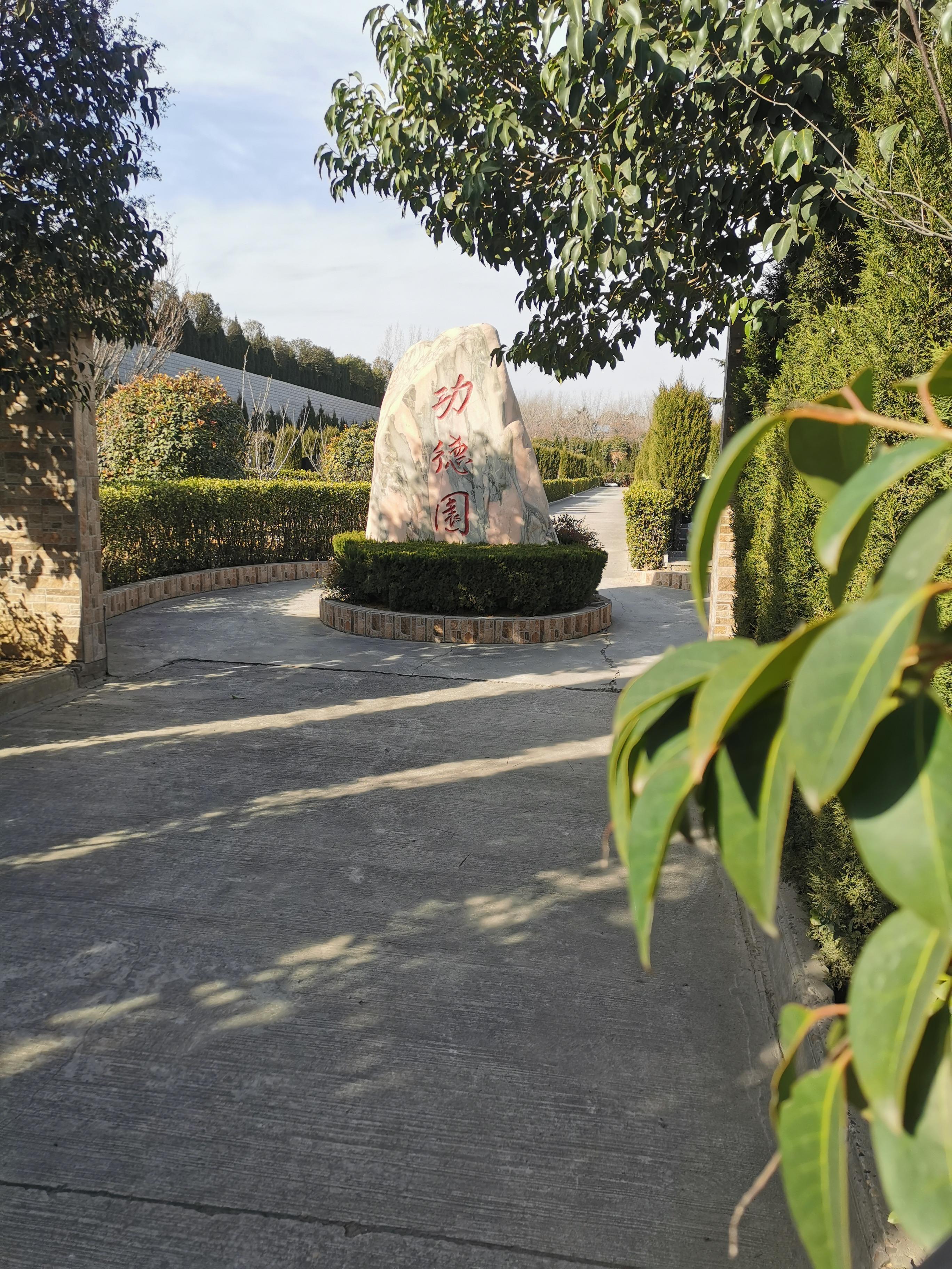 邙山公墓园区图片