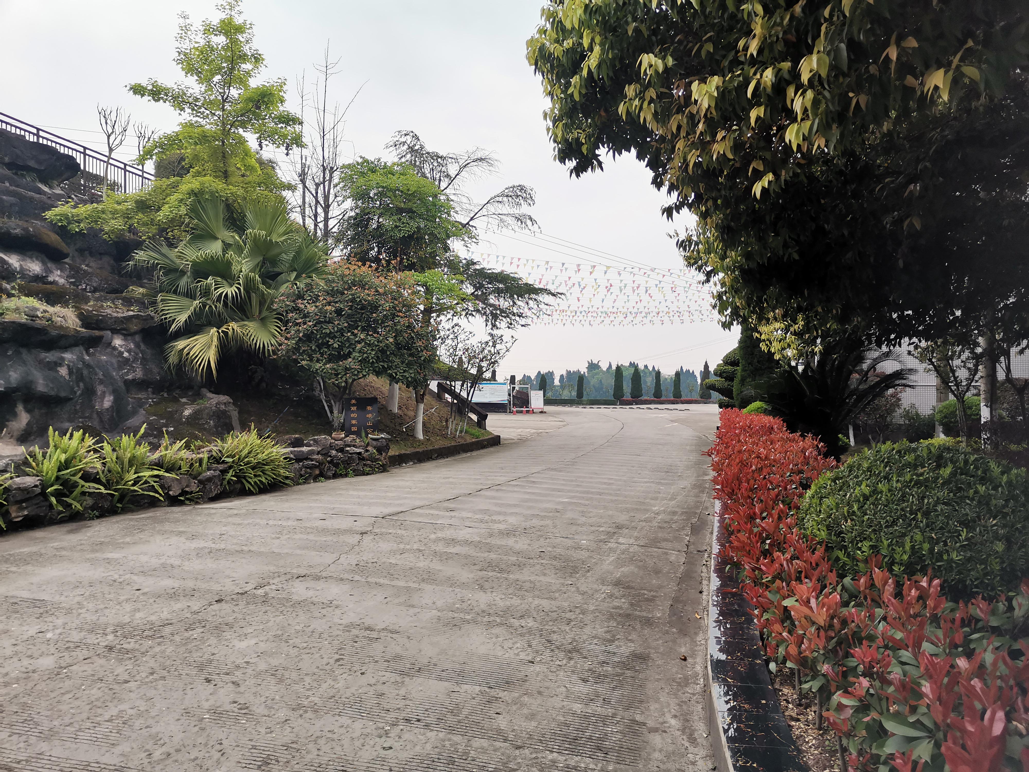 内江市东兴区赛峨山公墓园区图片