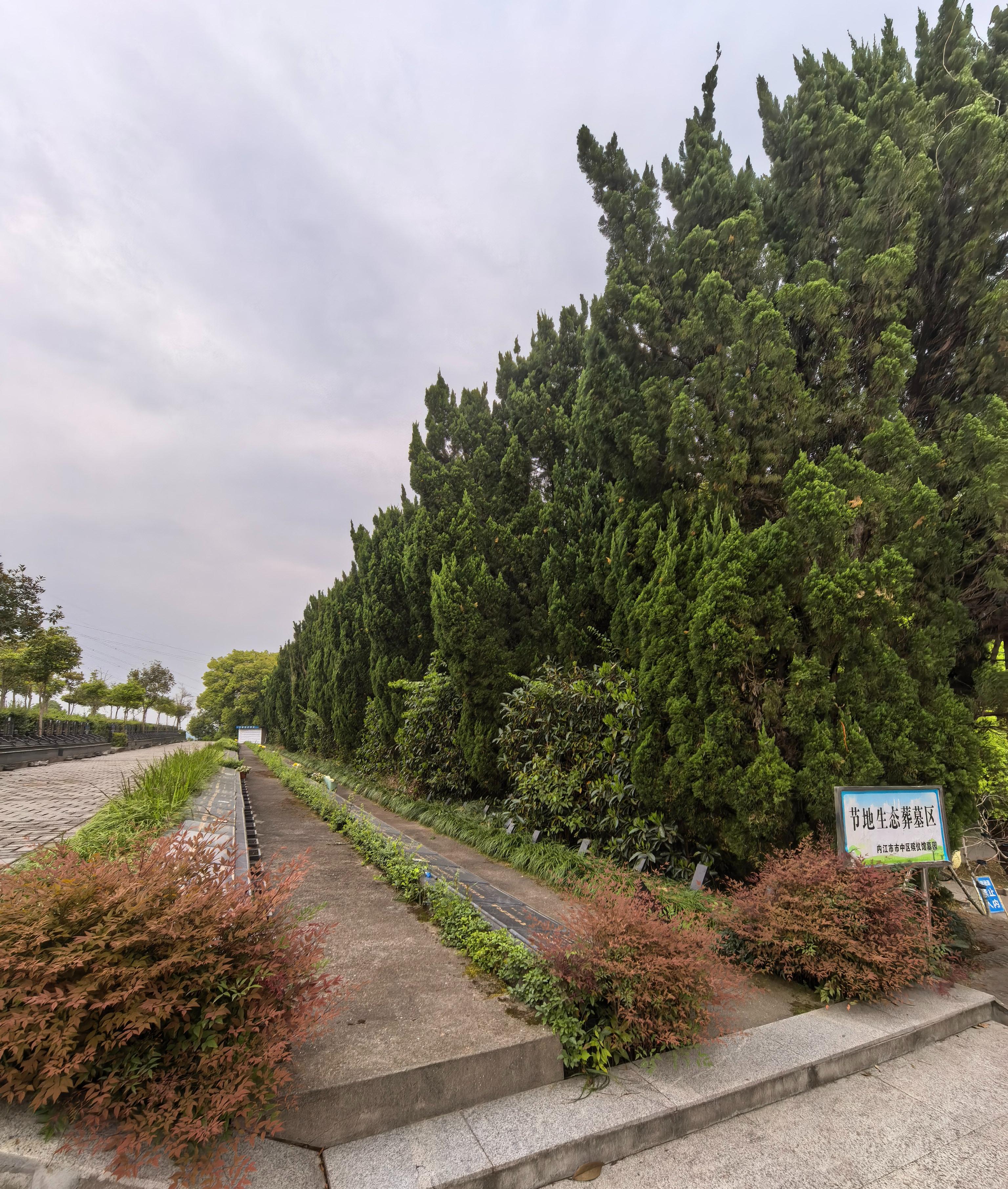 内江市市中区青龙山墓园园区图片