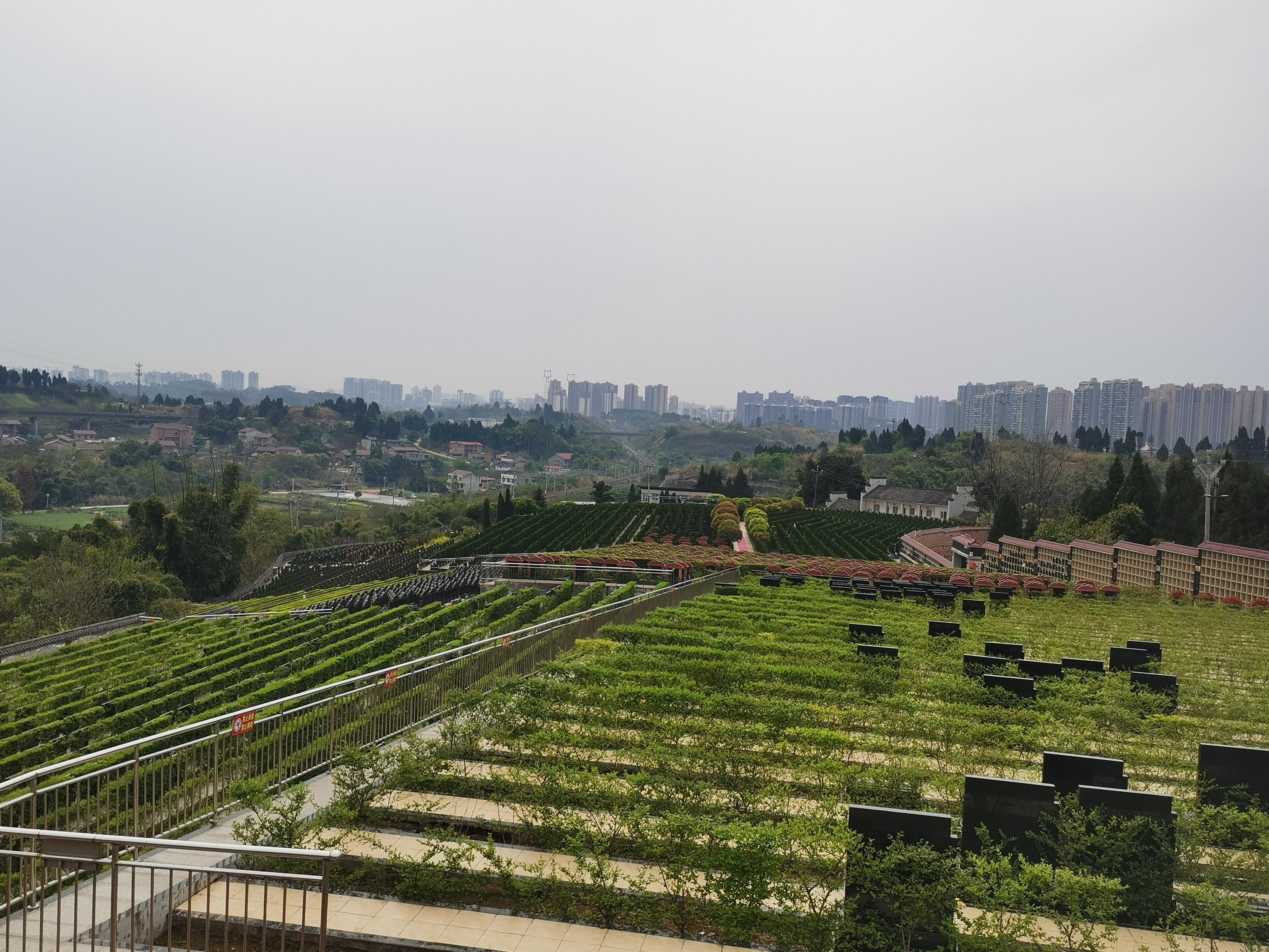 内江市东兴区赛峨山公墓园区图片