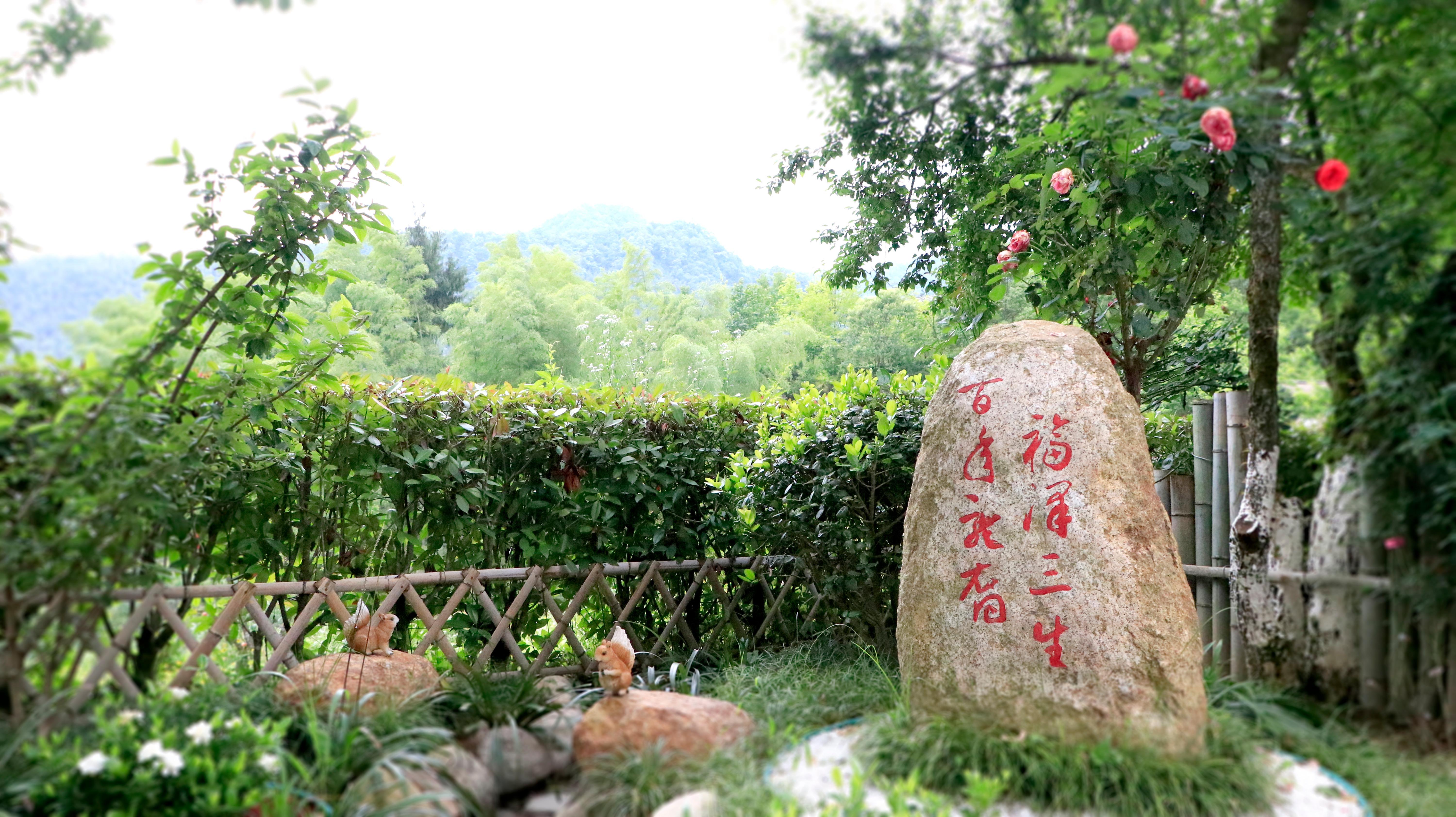 黄山龙裔公墓经营管理有限公司园区图片