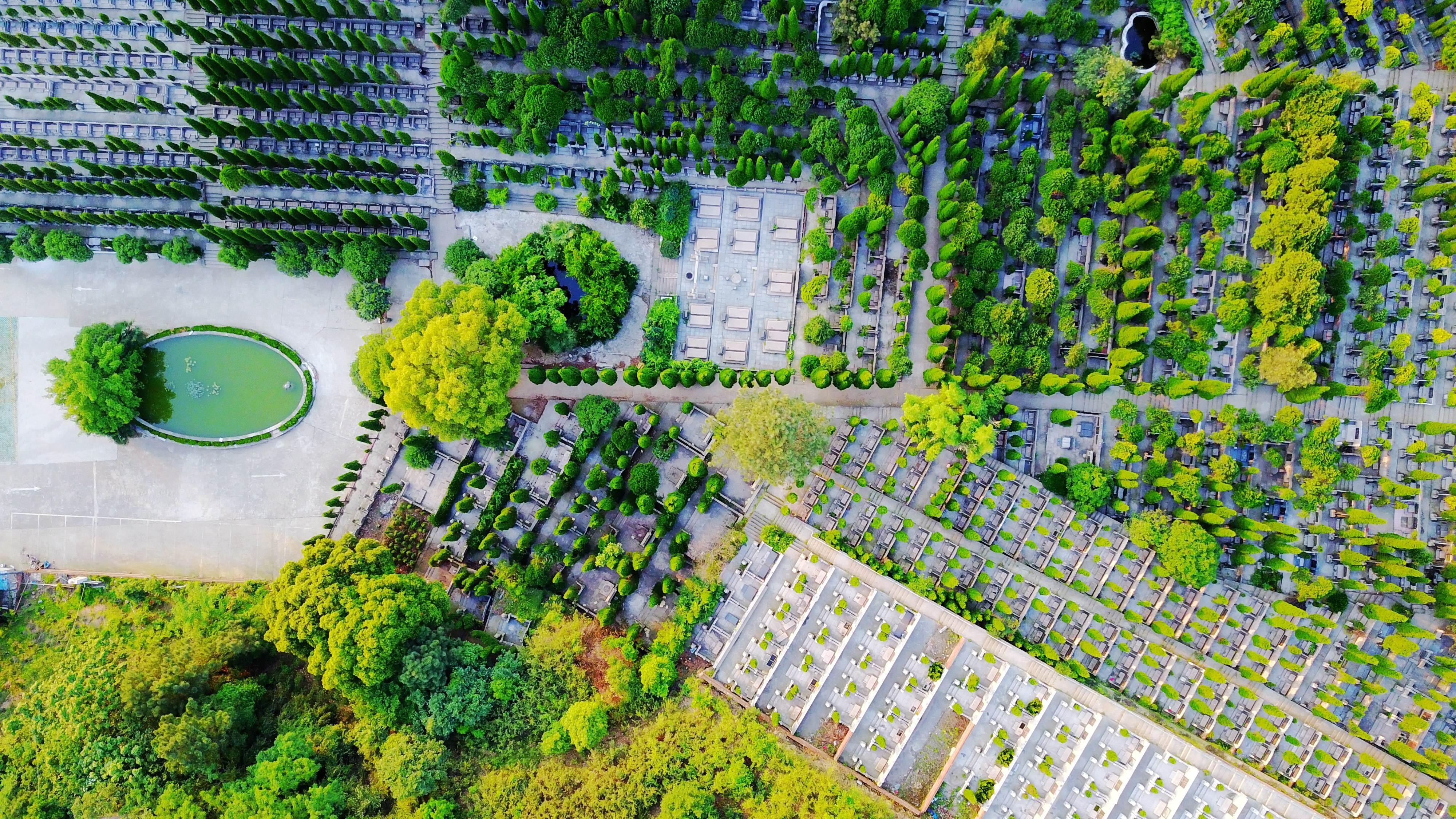 常州市凤凰山华侨公墓皇龙墓区园区图片