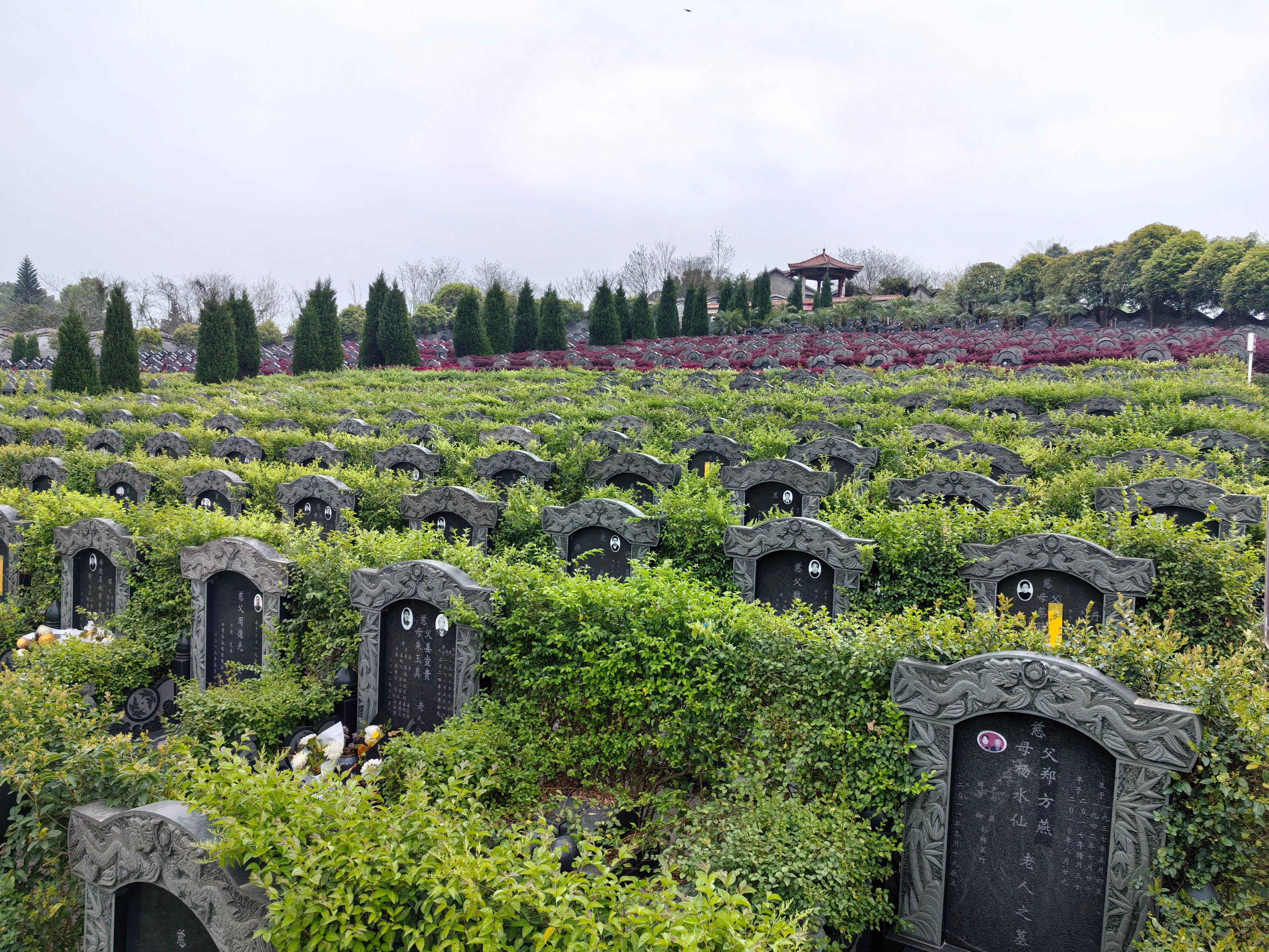 资中县二龙山公墓园区图片