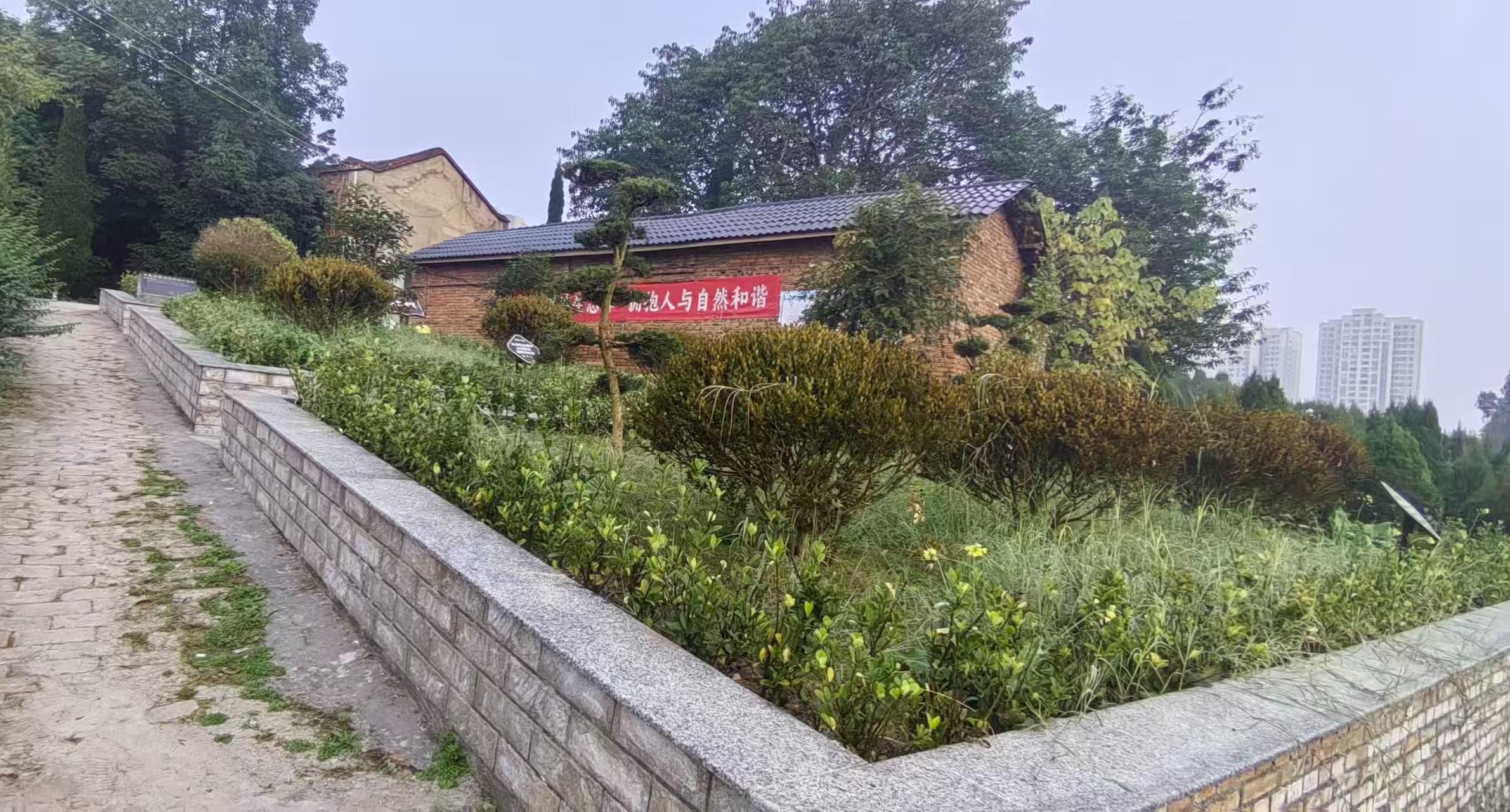 威远县东宝山公墓园区图片