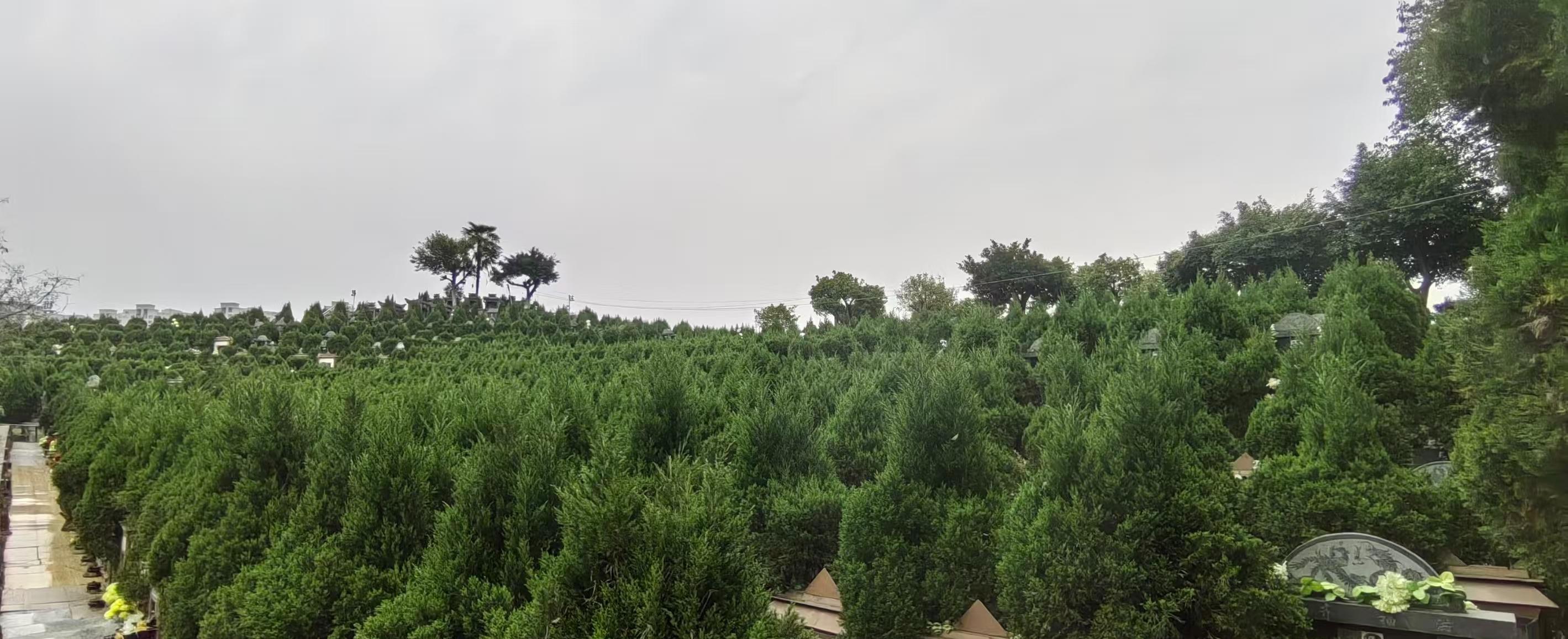 威远县东宝山公墓园区图片
