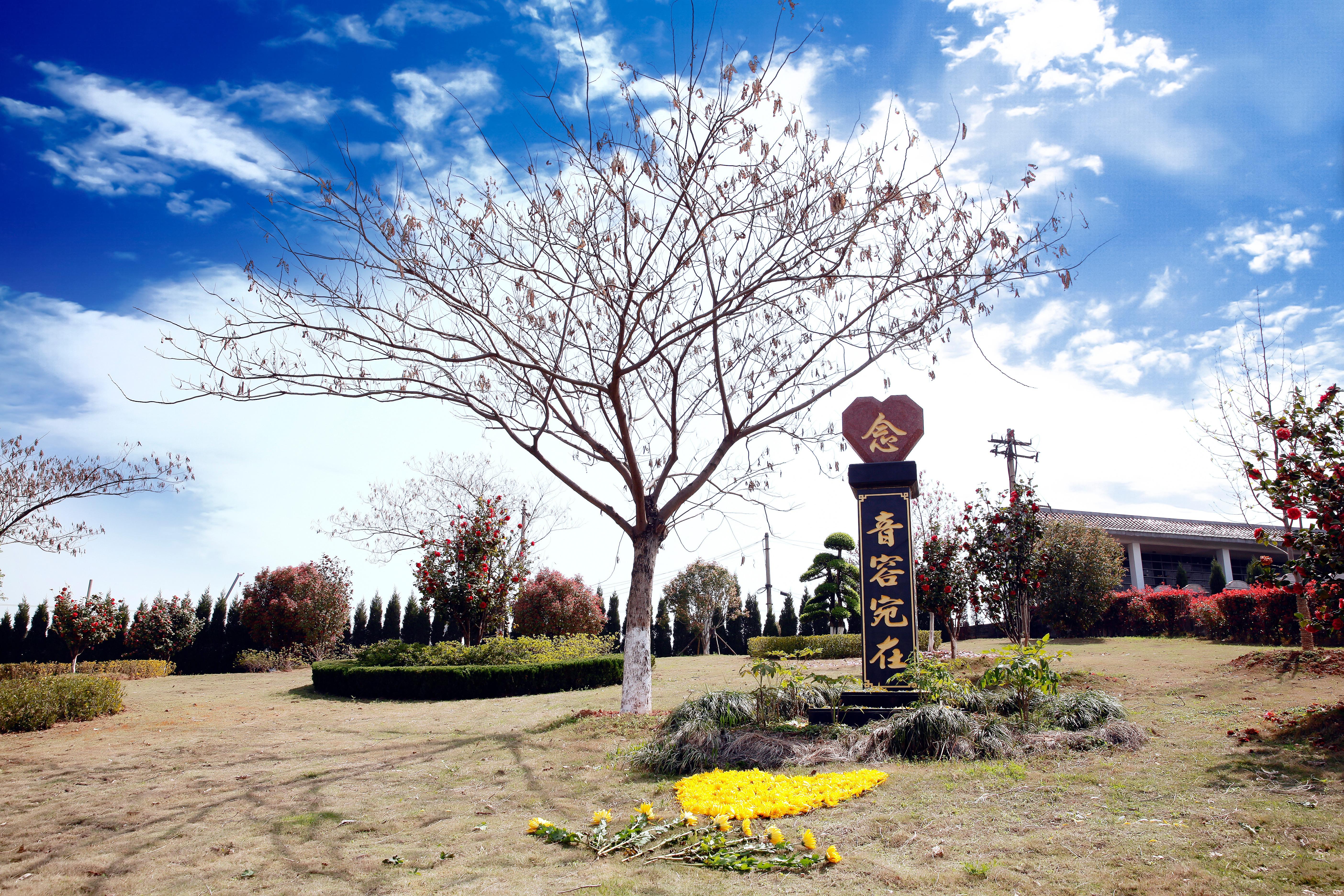安庆生命纪念公园园区图片