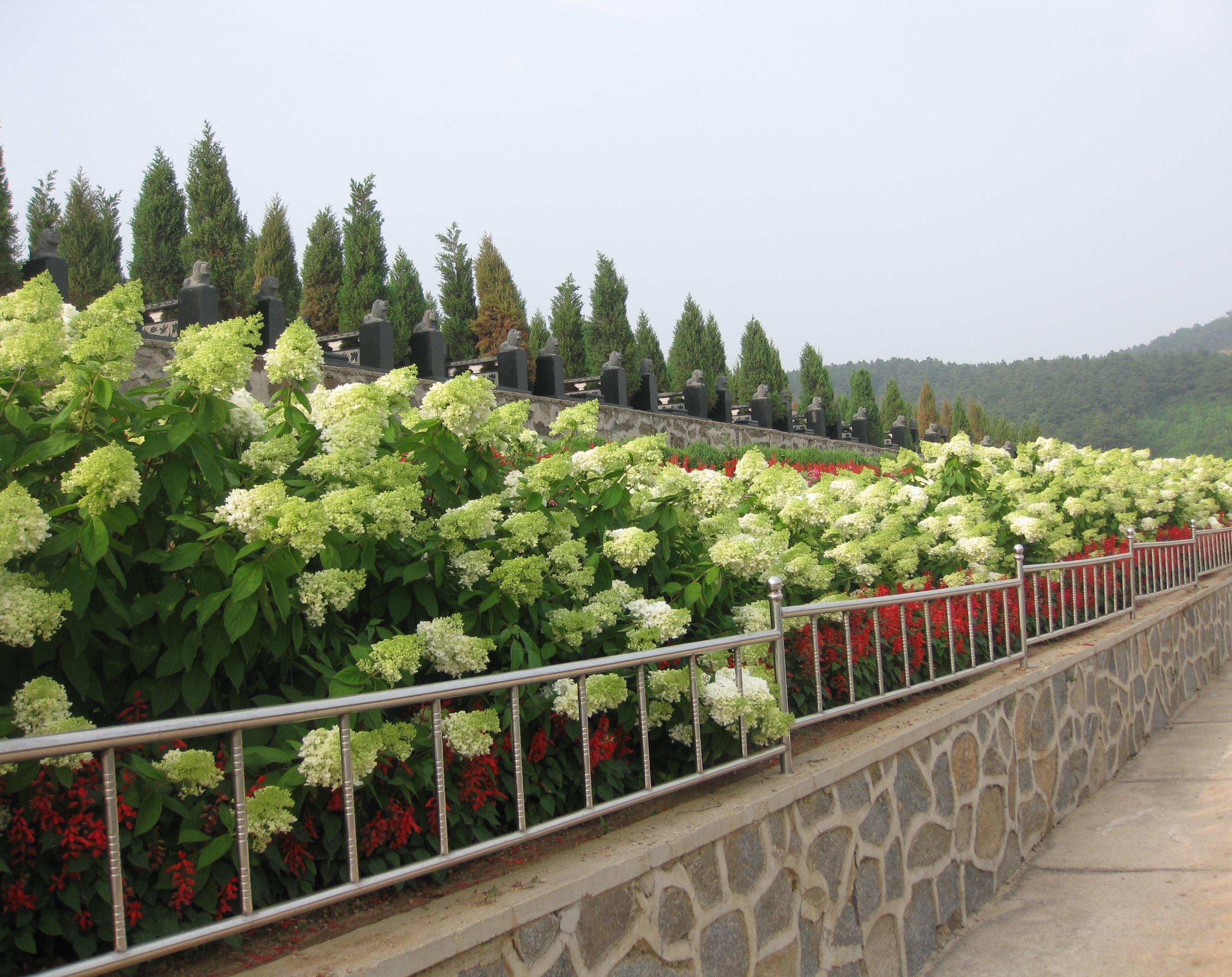 沈阳市苏家屯区塔山公墓园区图片