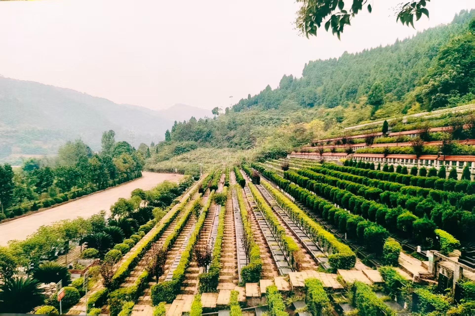 成都市龙泉驿区金龙山公墓园区图片