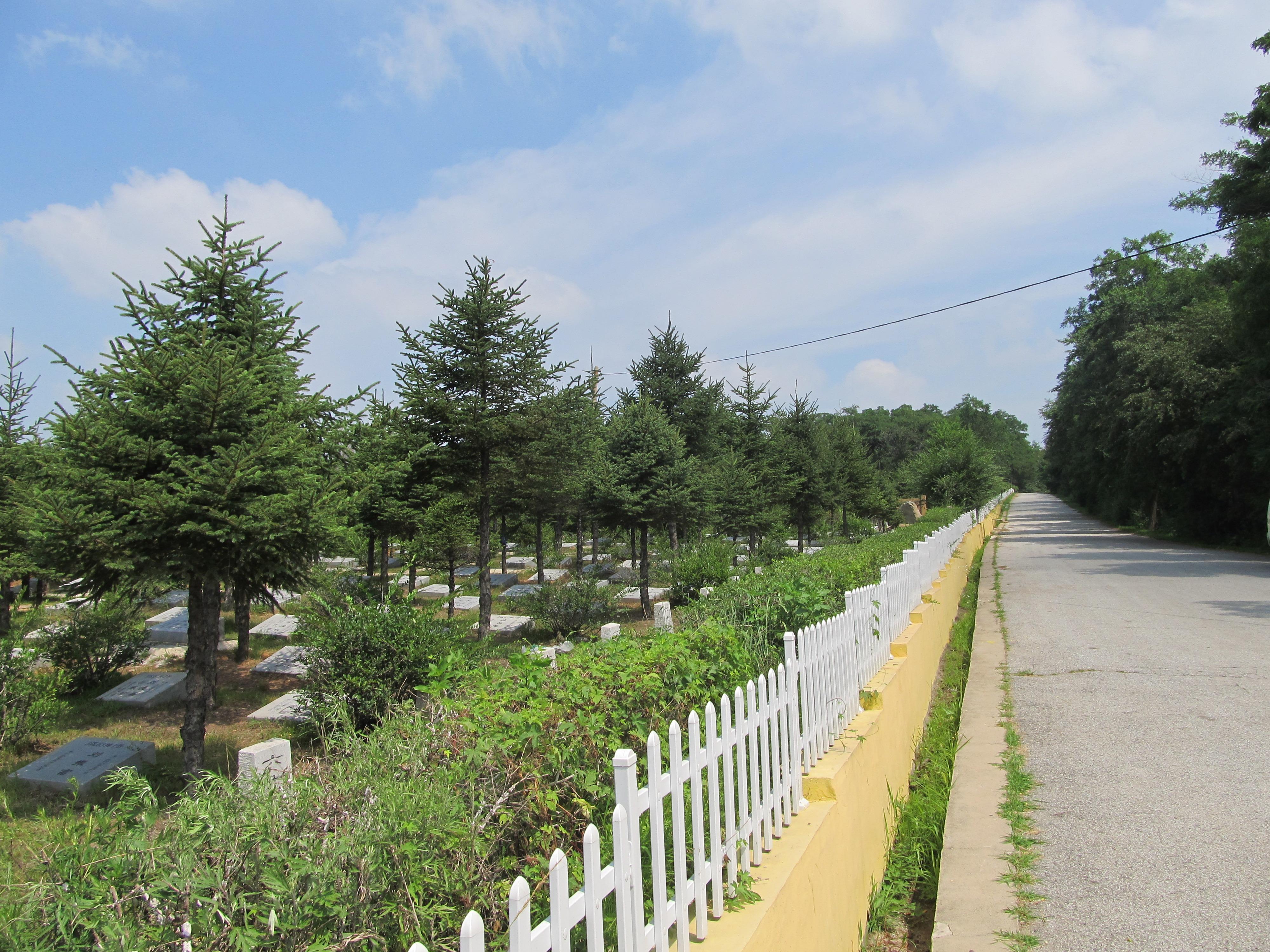 沈阳市骨灰入土植树纪念林有限公司园区图片