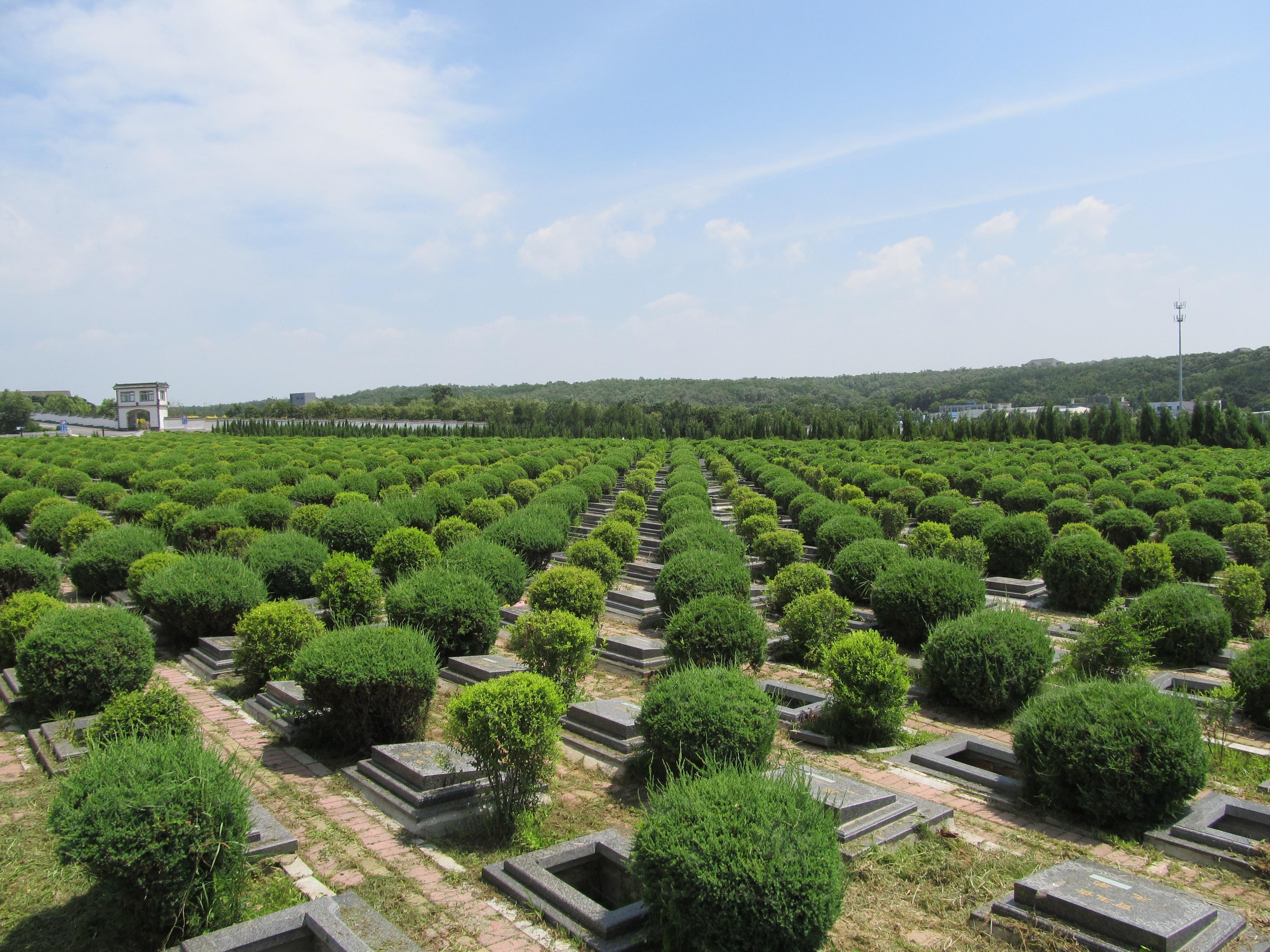沈阳市骨灰入土植树纪念林有限公司园区图片