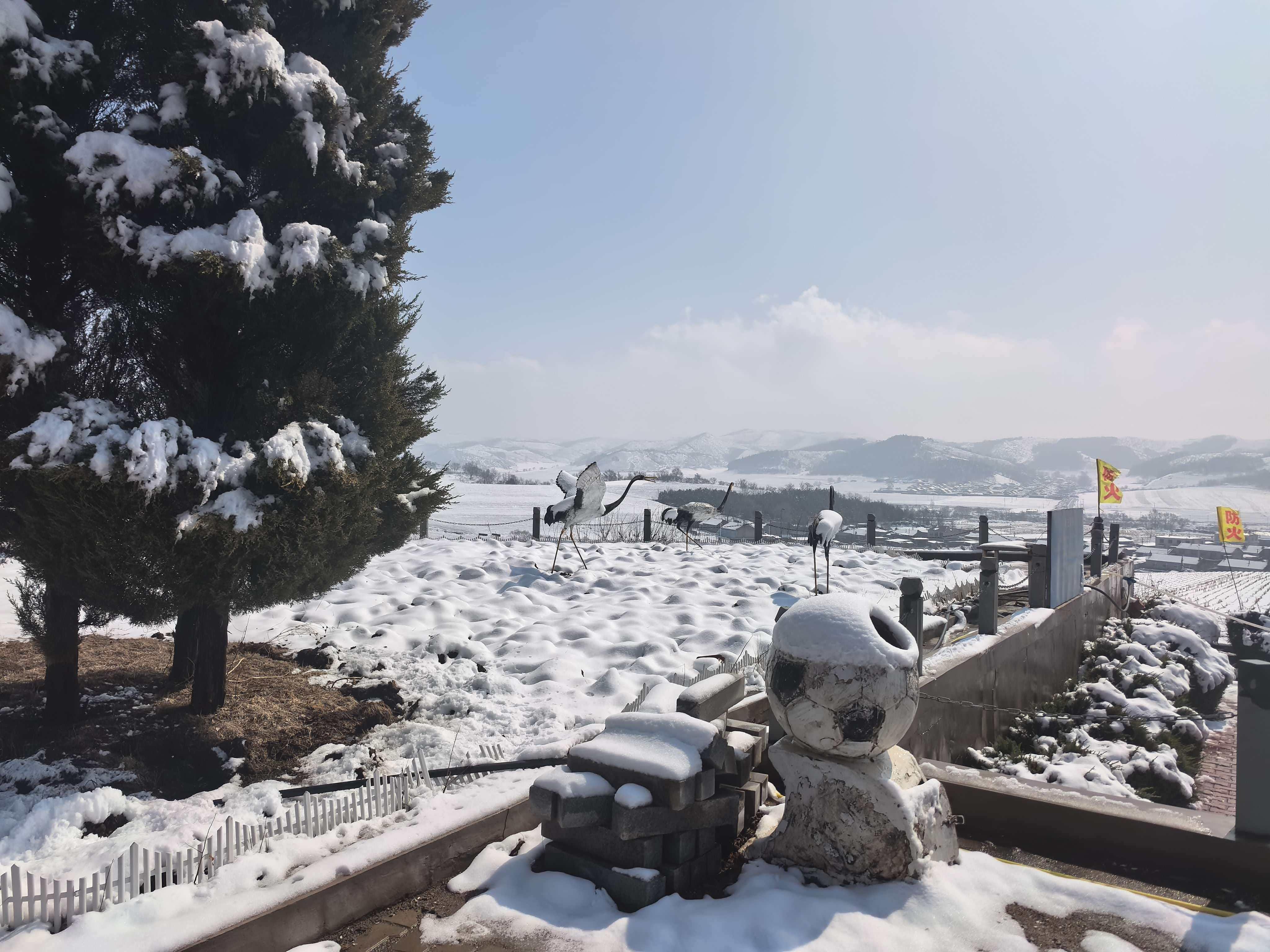 西丰县金元山公墓园区图片