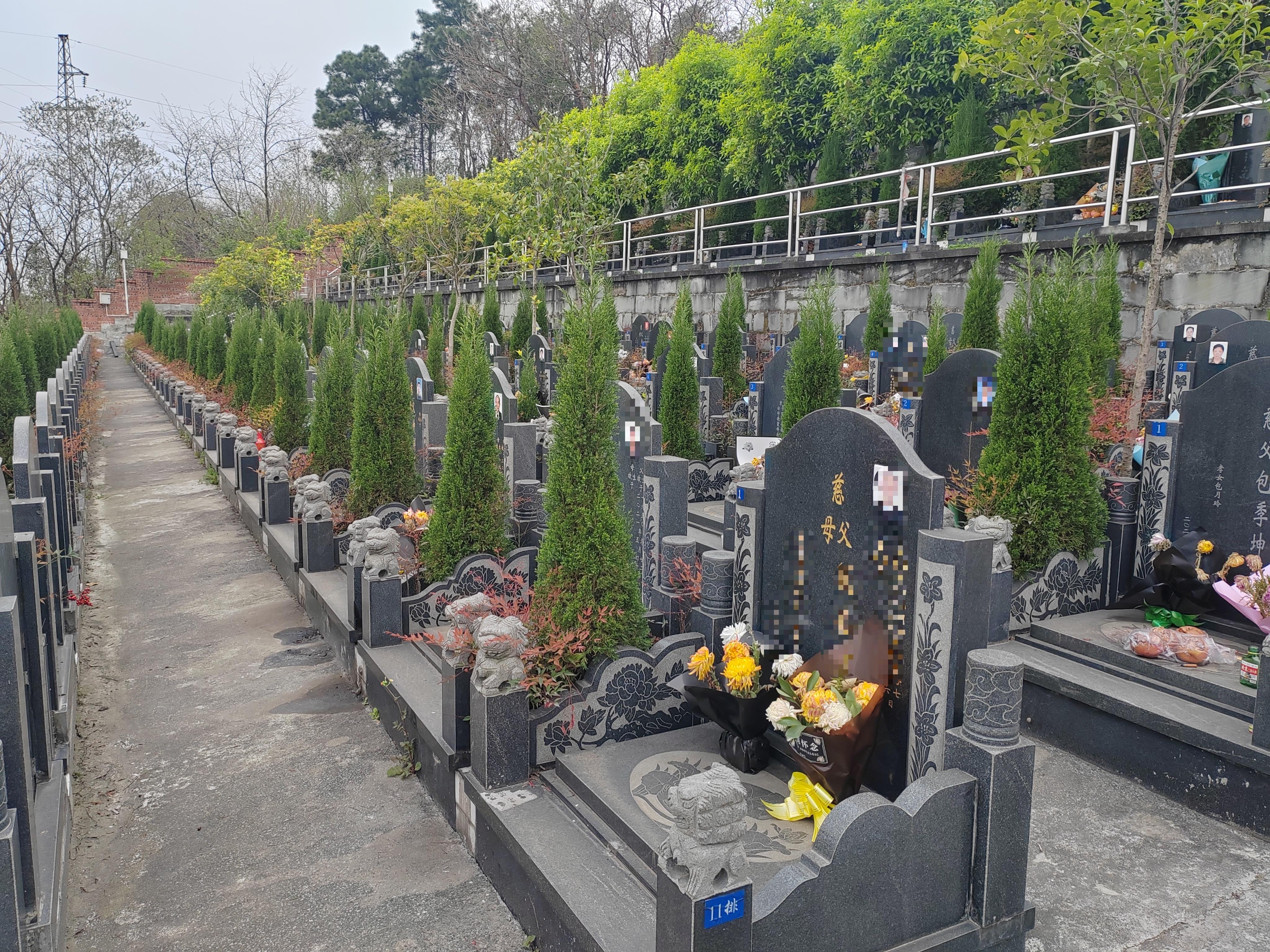 隆昌市公墓园区图片