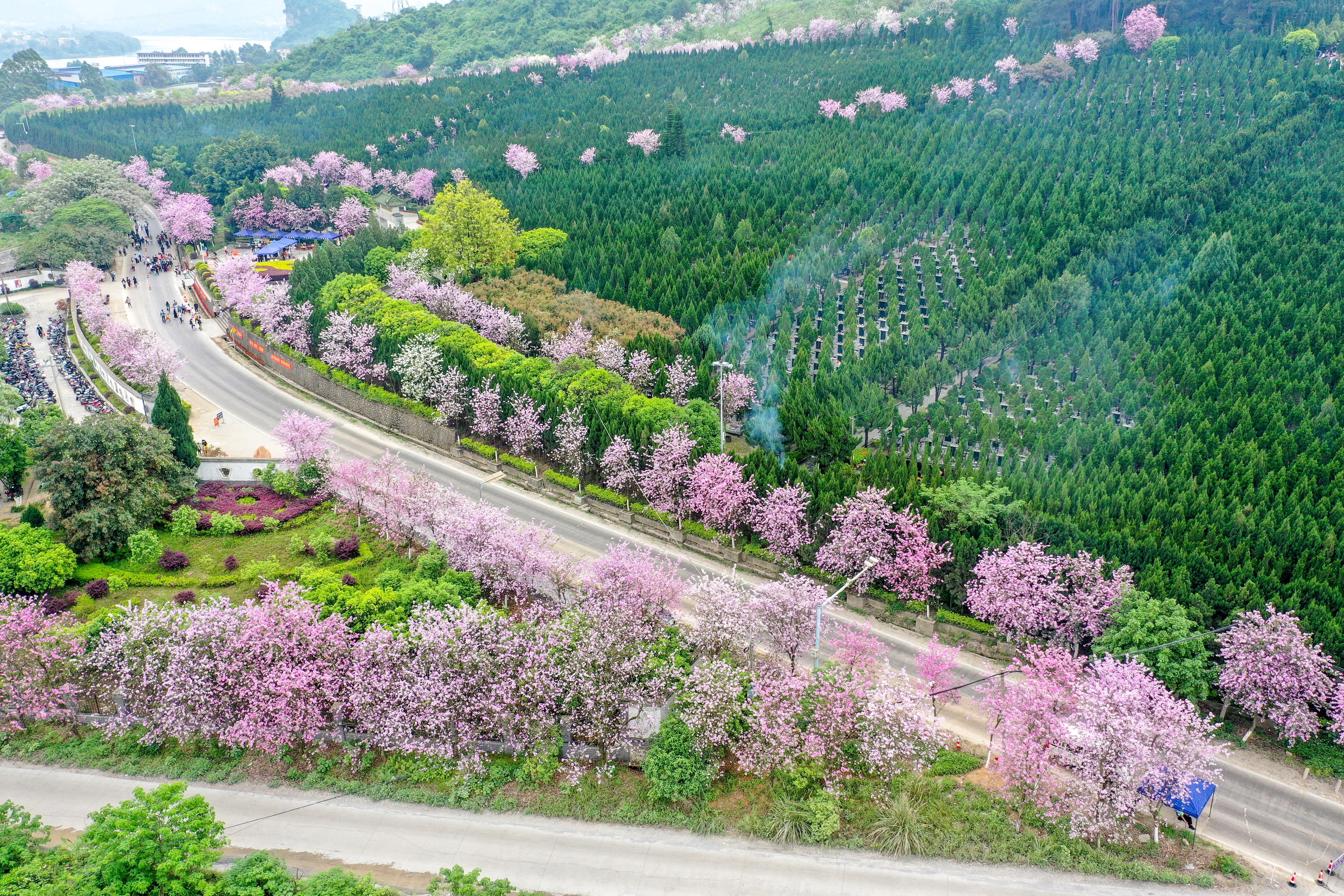 柳州农工商有限责任公司月山公墓园区图片