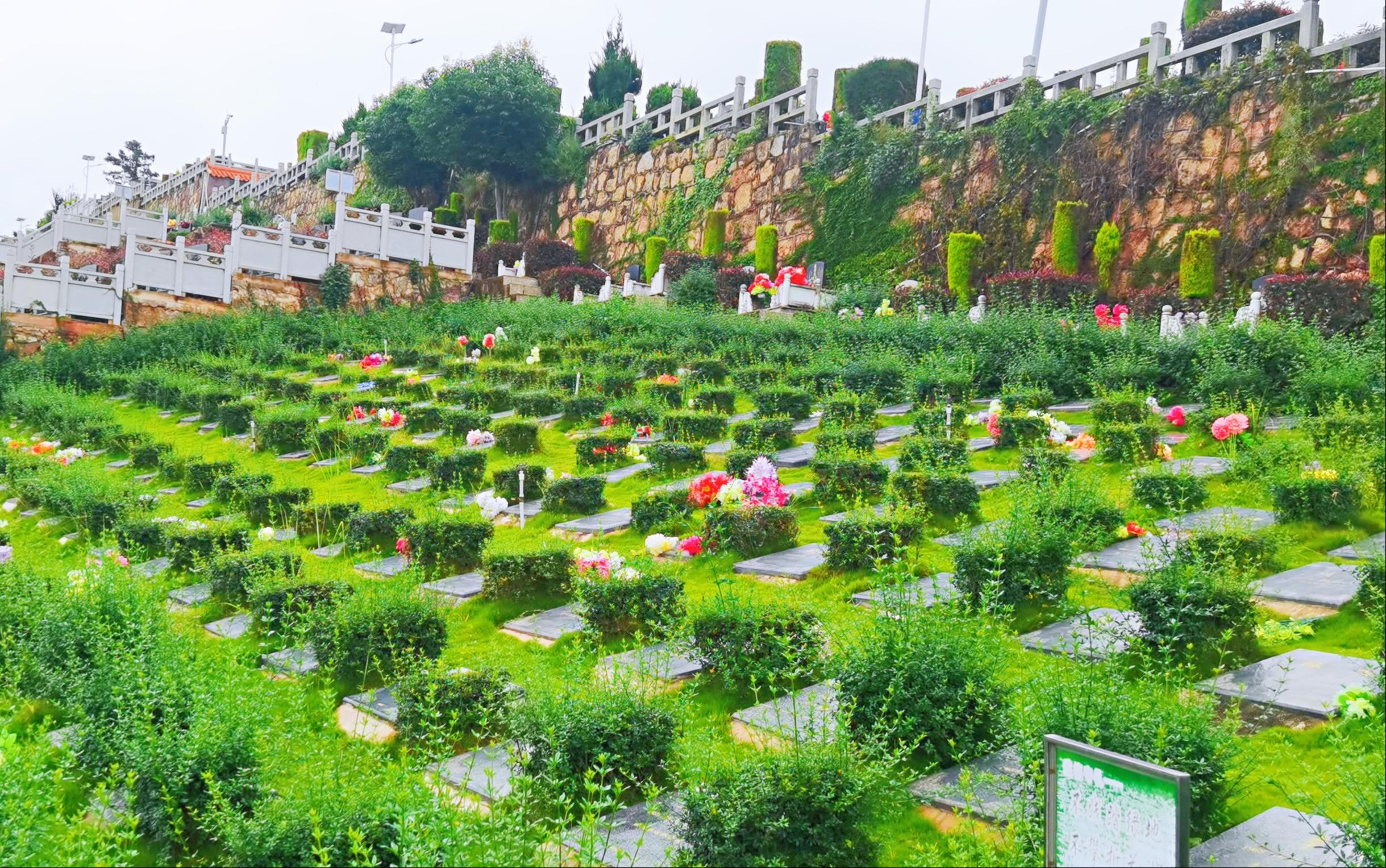 大理市青光山公墓园区图片