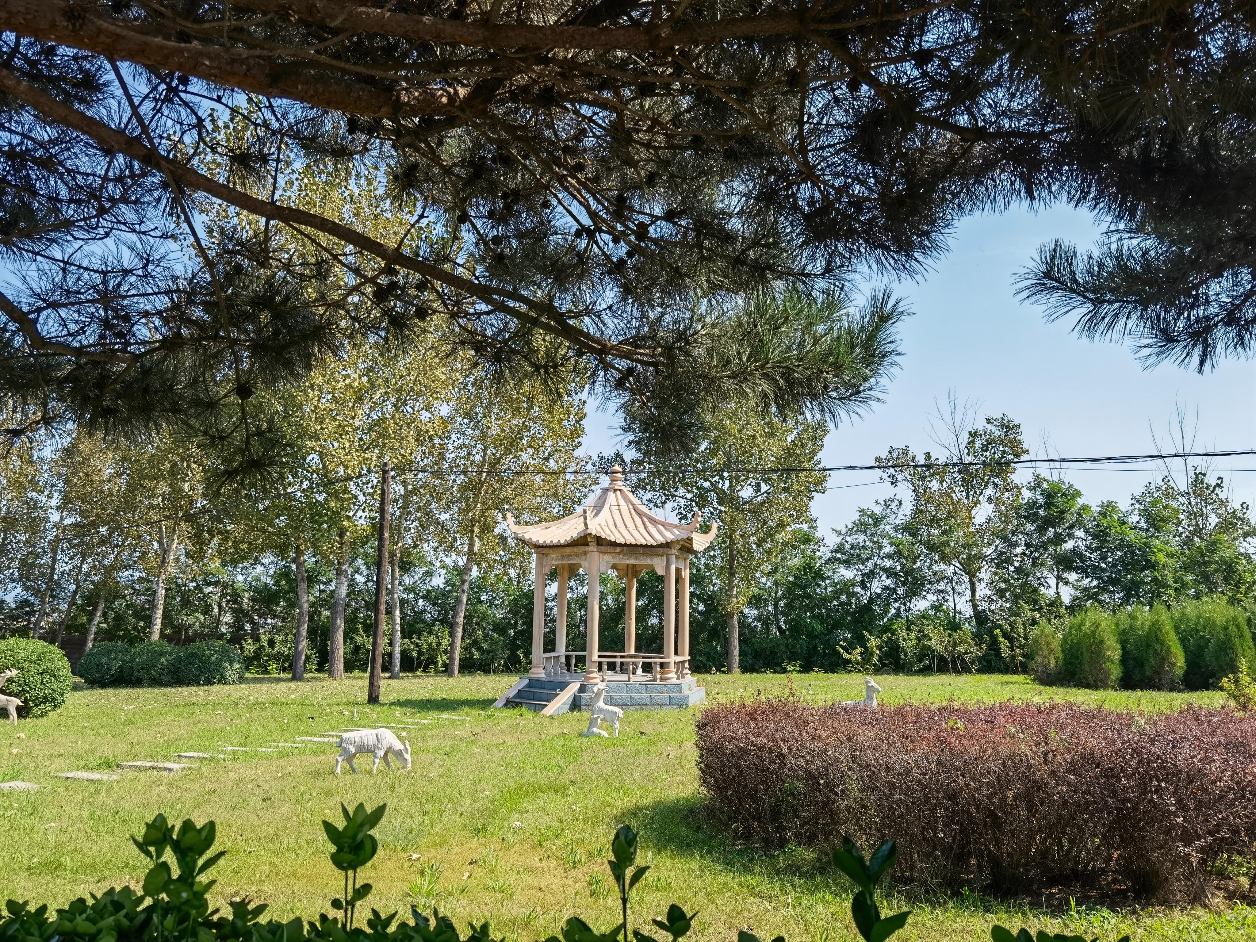 秦皇岛市望海陵园园区图片