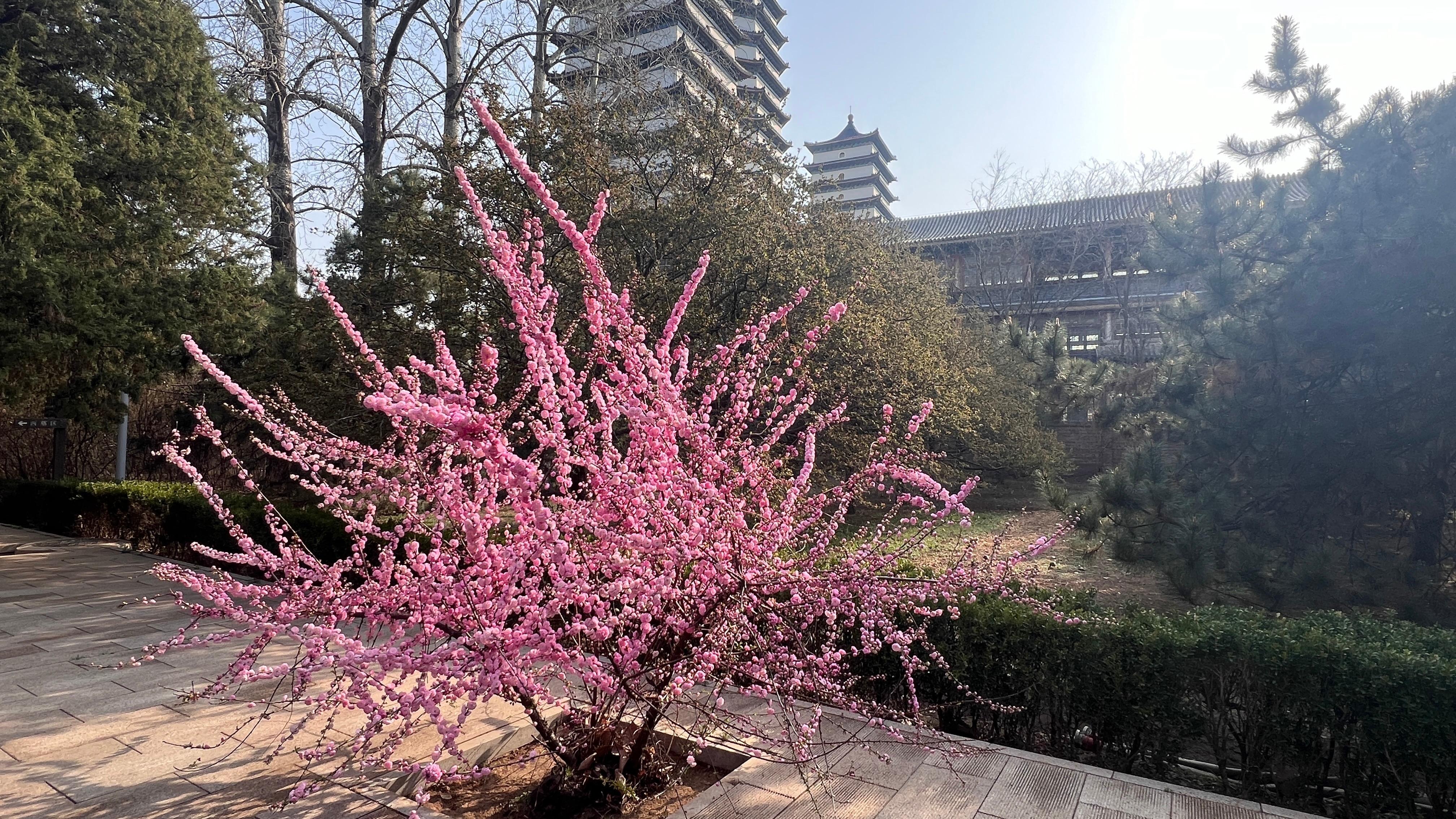 潮白陵园园区图片