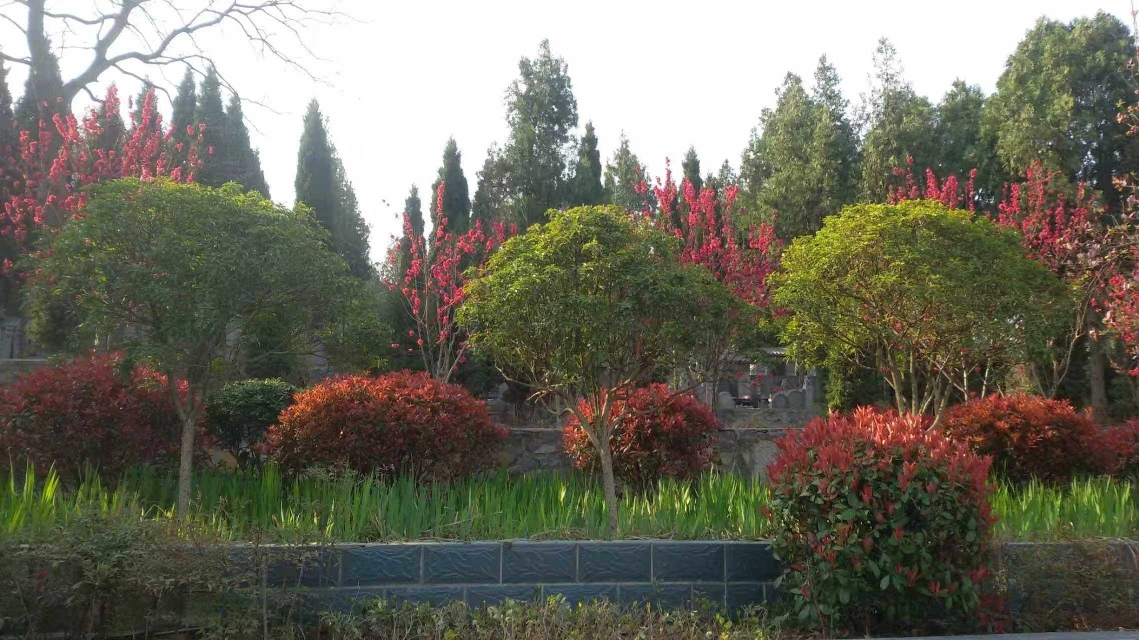 徐州市殡葬管理服务中心双山公墓管理所园区图片