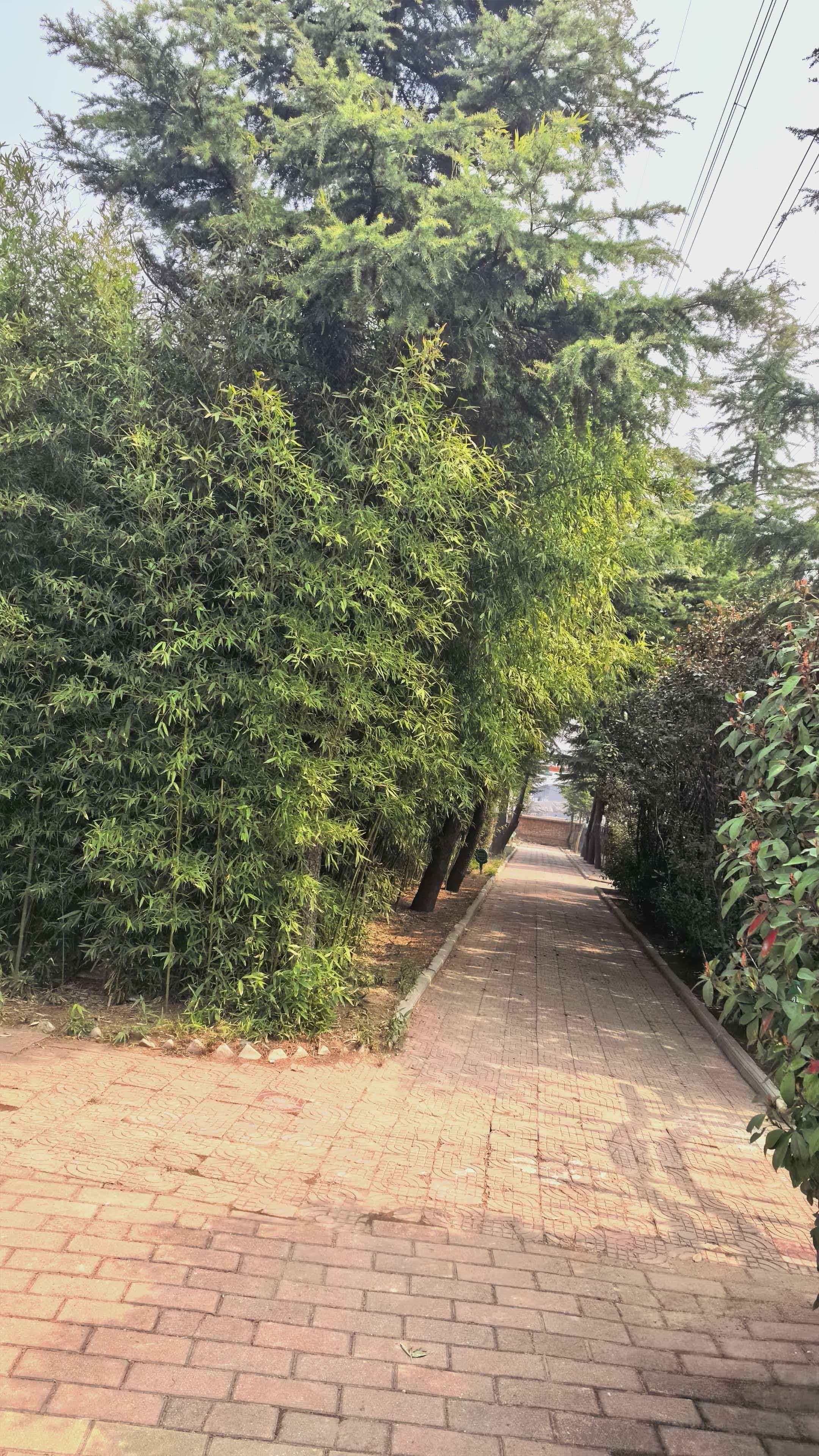 中牟黄龙岗陵园园区图片