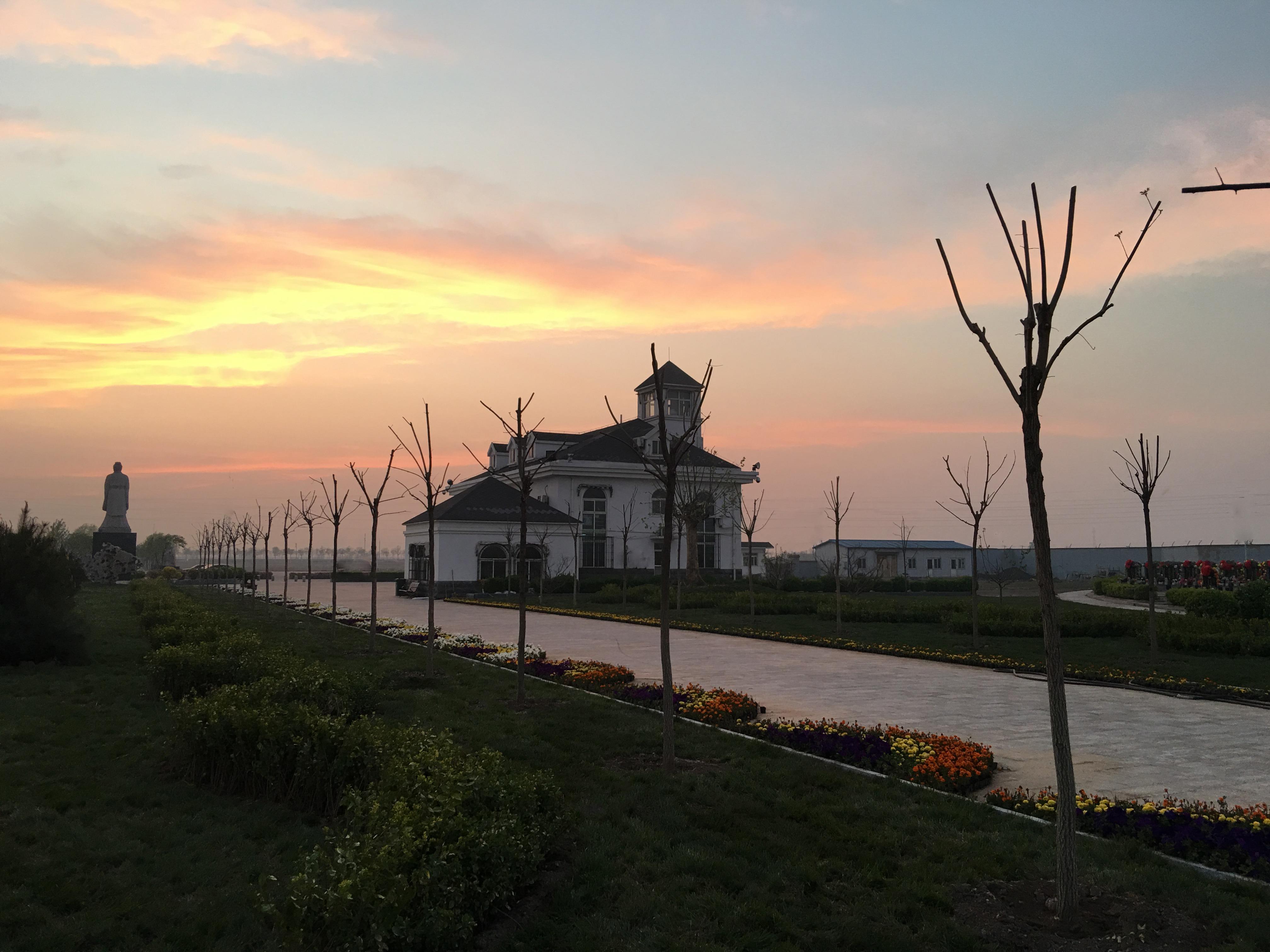 天津市滨海新区民政事务服务中心逸安园公墓园区图片