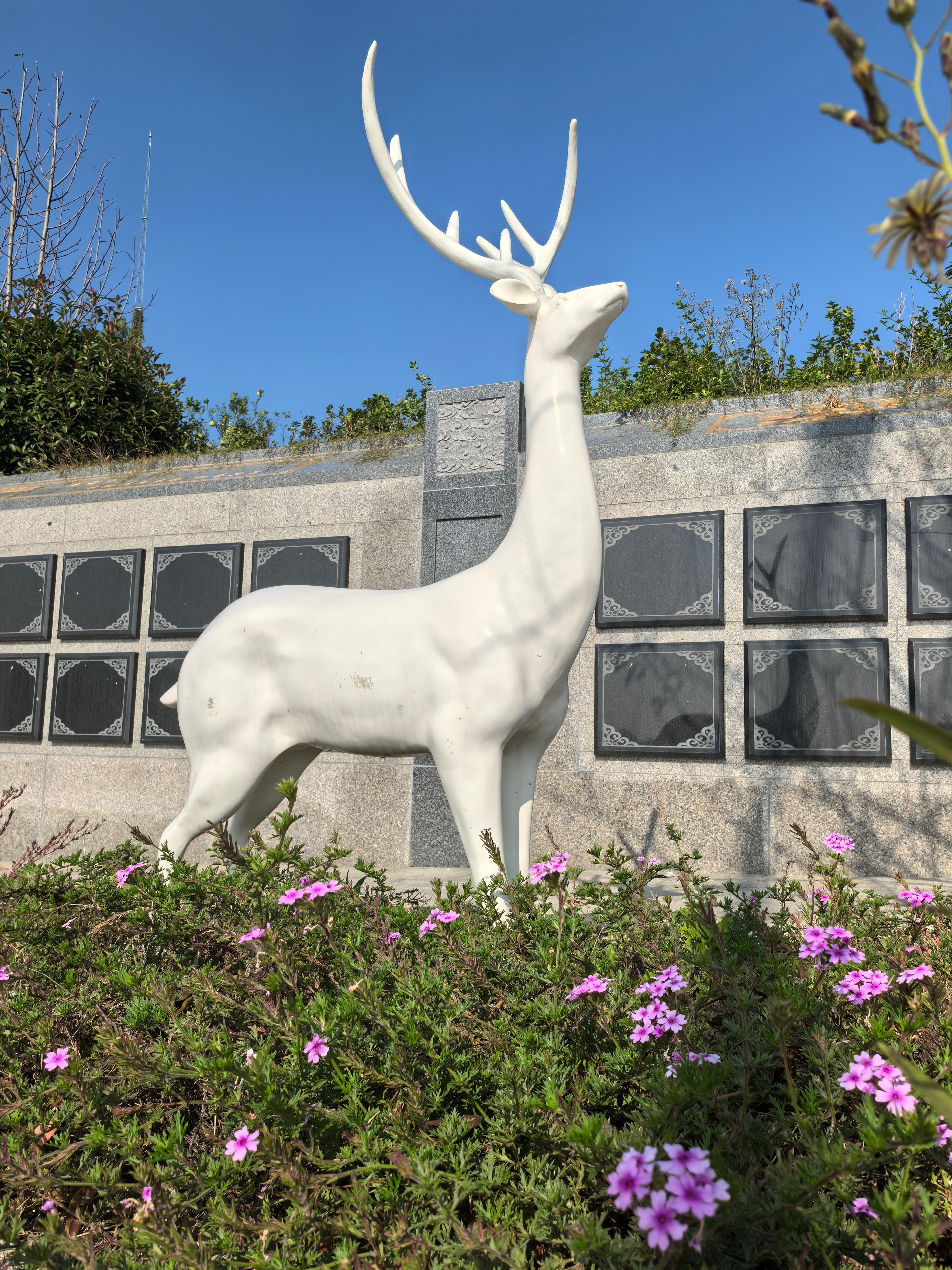 武汉市江夏区幸福山公墓服务中心园区图片
