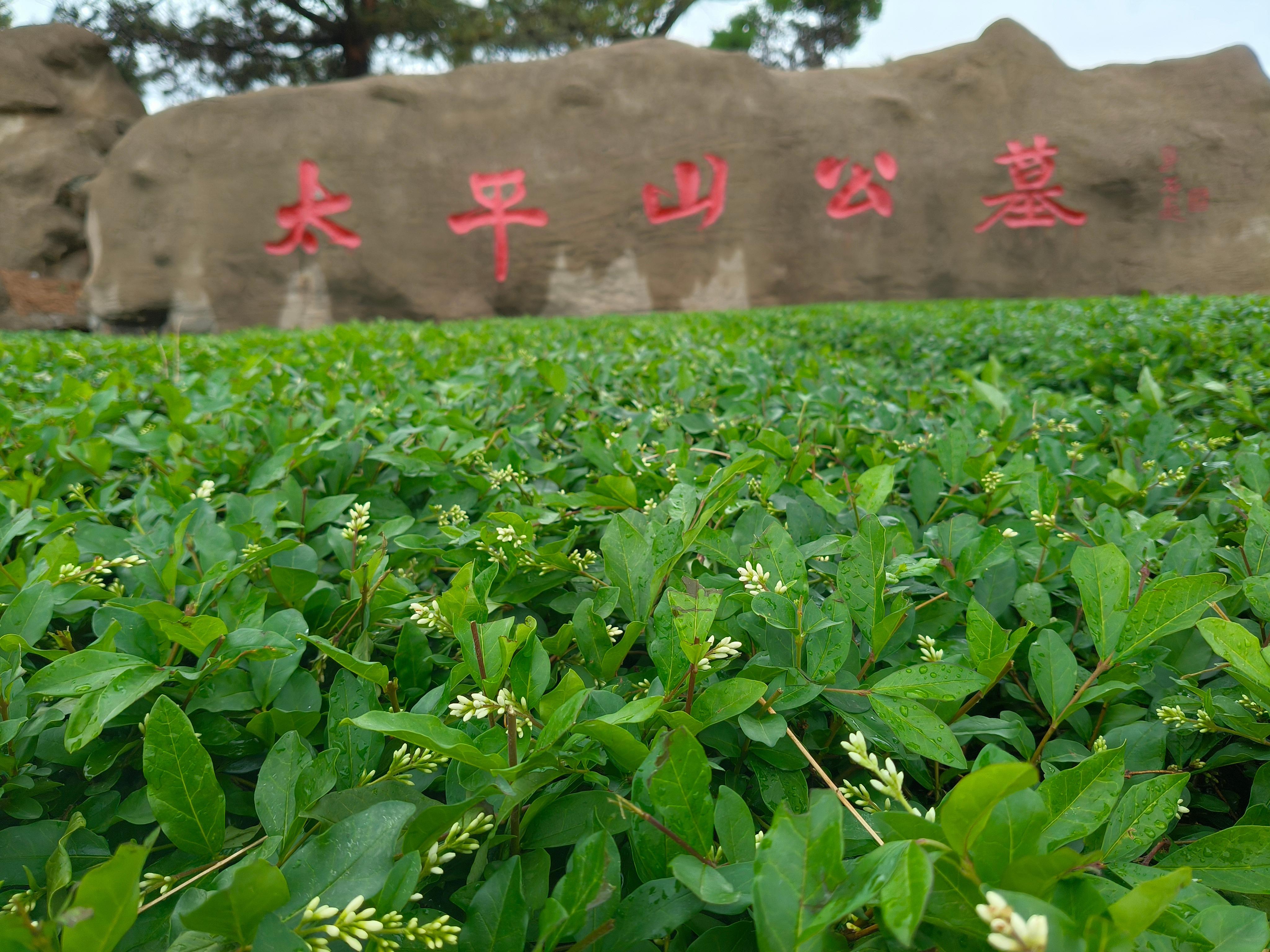 朝阳市太平山公墓有限公司