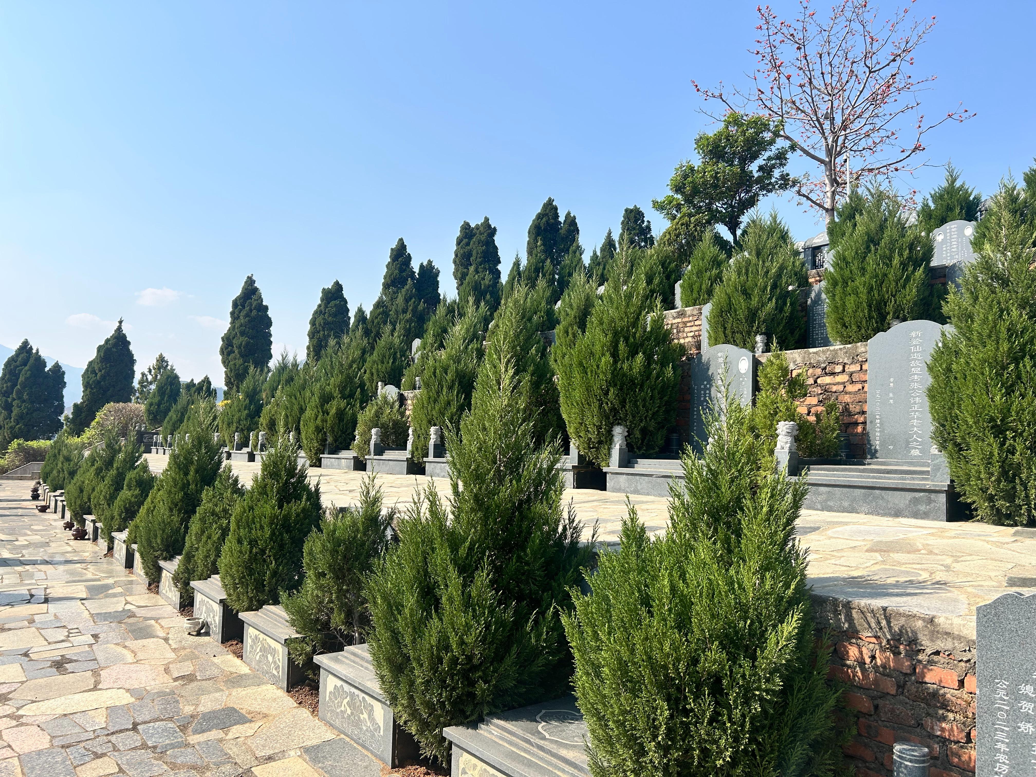 米易县广东山公墓园区图片