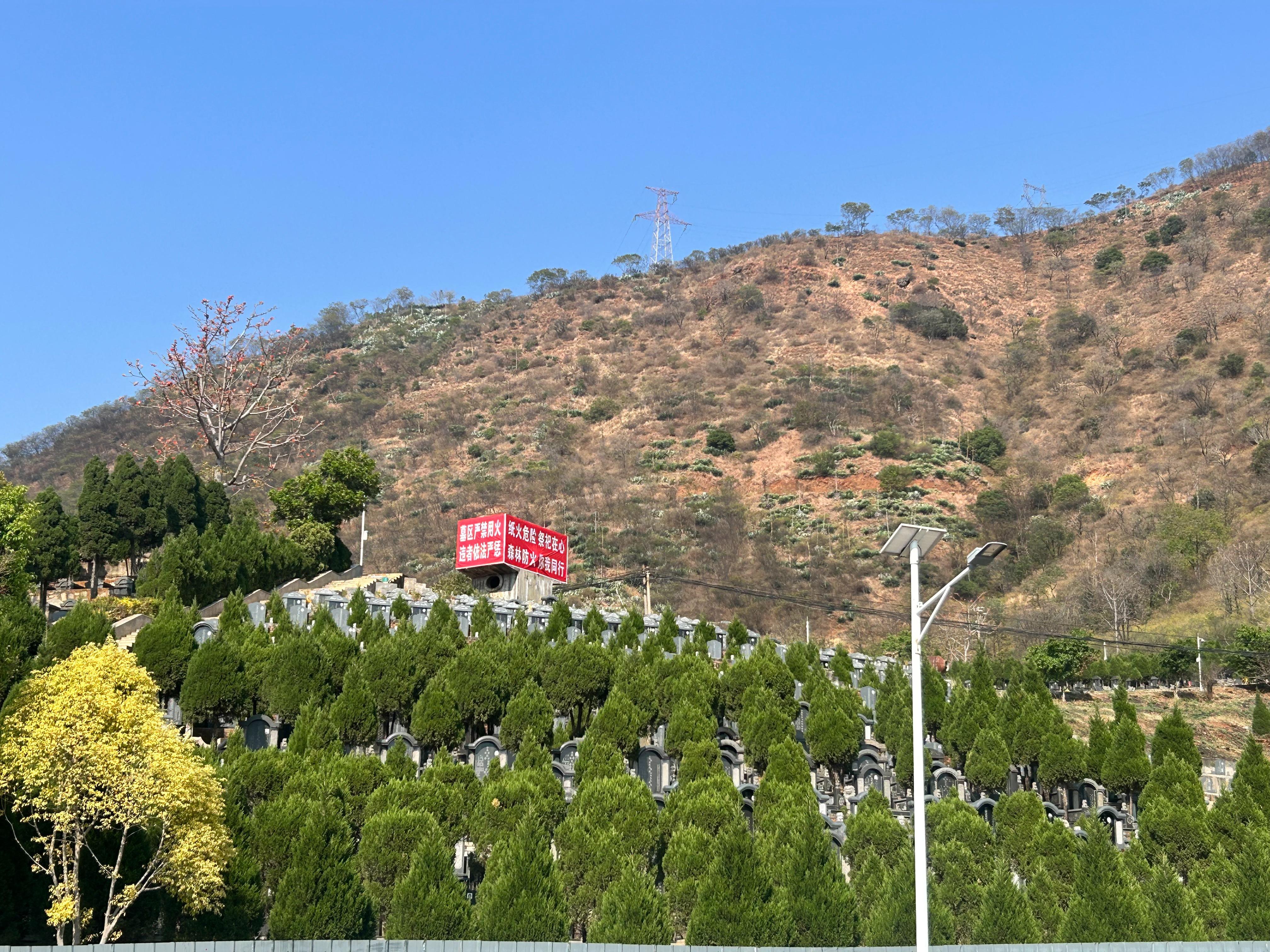 米易县广东山公墓园区图片