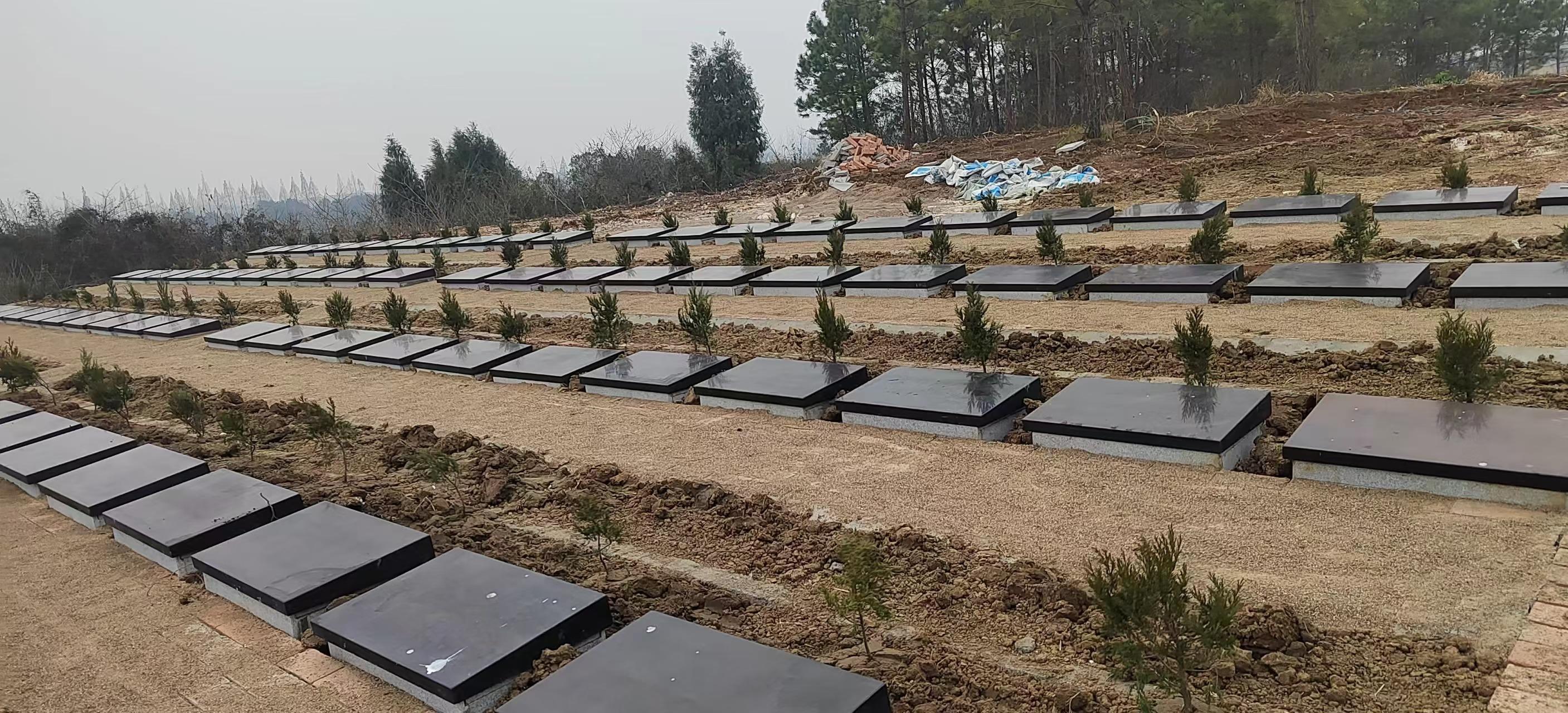屈家岭管理区青山陵园公墓园区图片