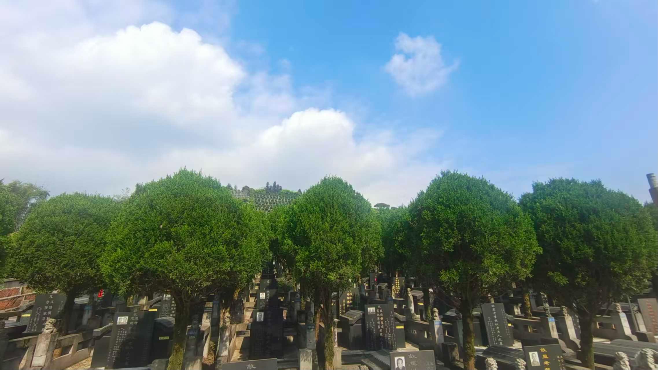 峨眉山公墓（川主墓区）园区图片