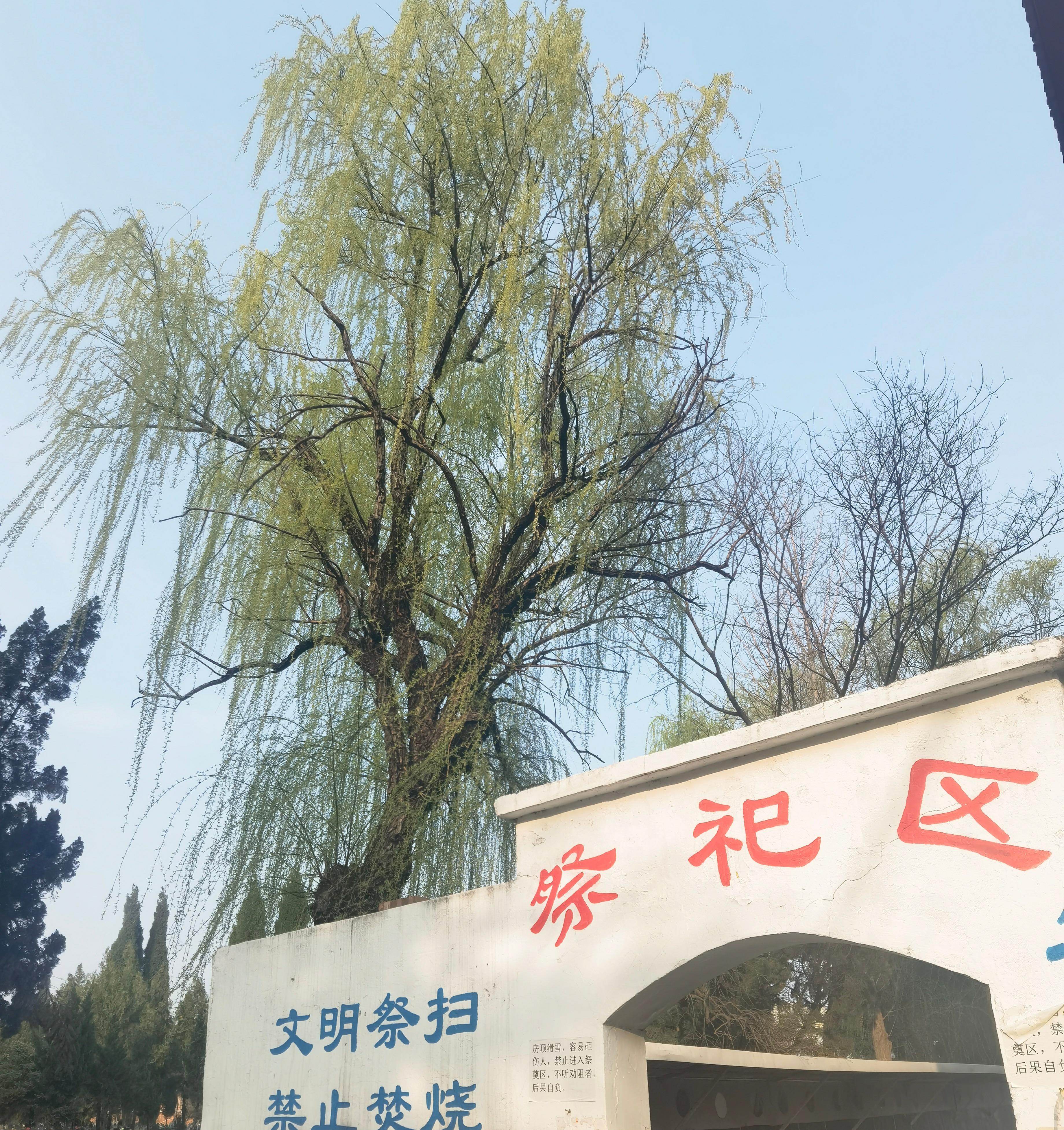 洛阳市北邙骨灰公墓园区图片