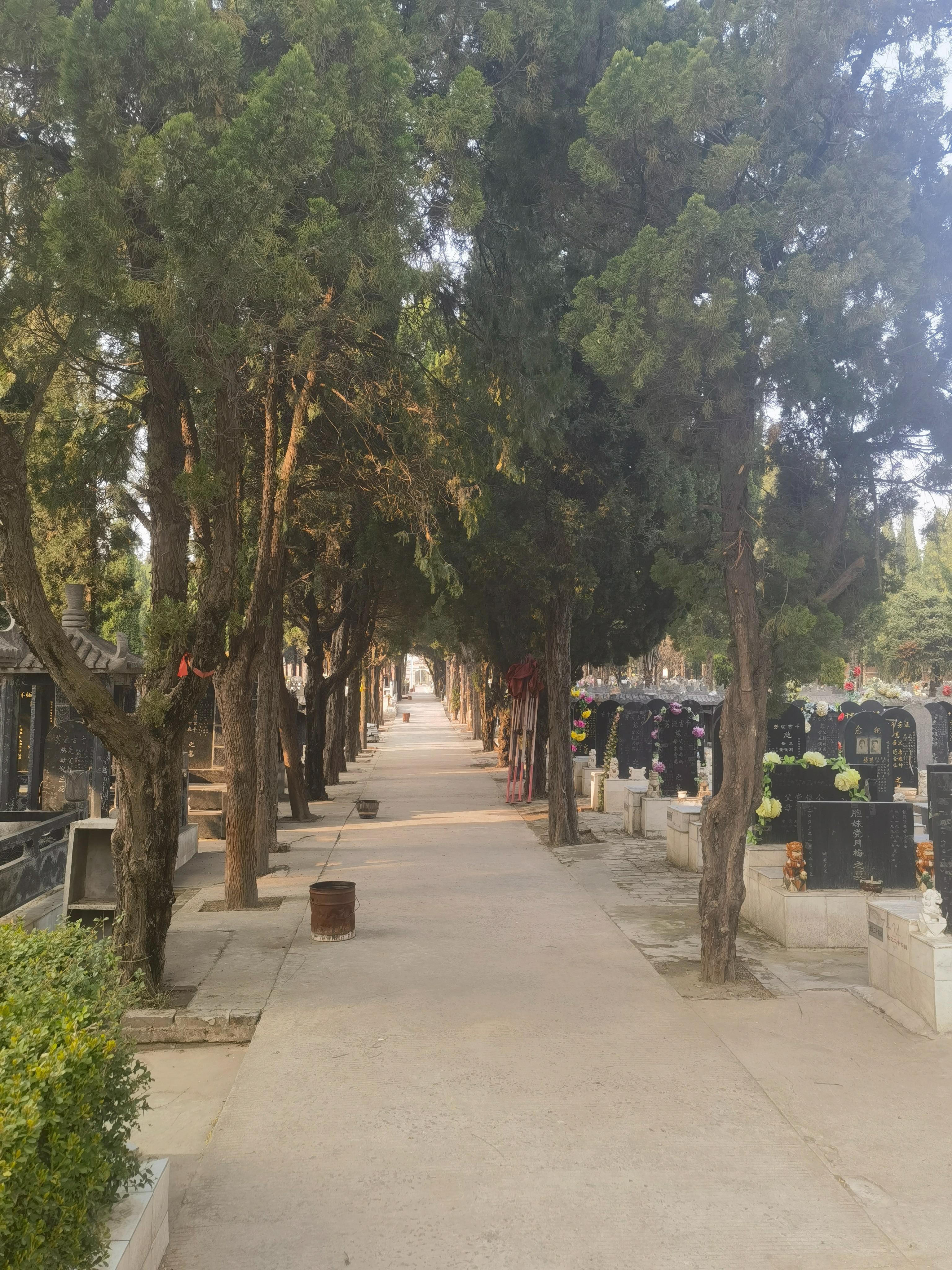 洛阳市北邙骨灰公墓园区图片