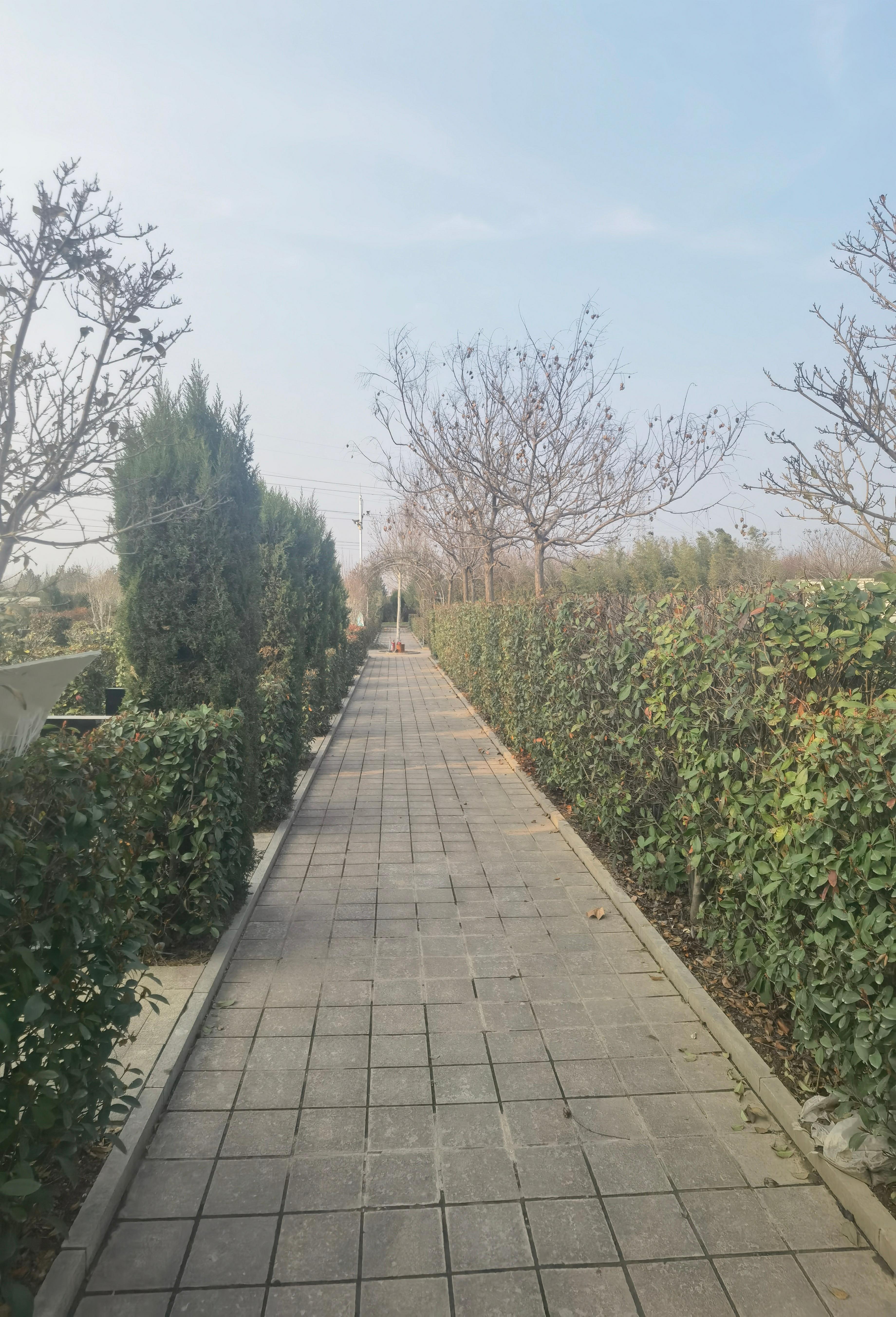 洛阳市北邙骨灰公墓园区图片