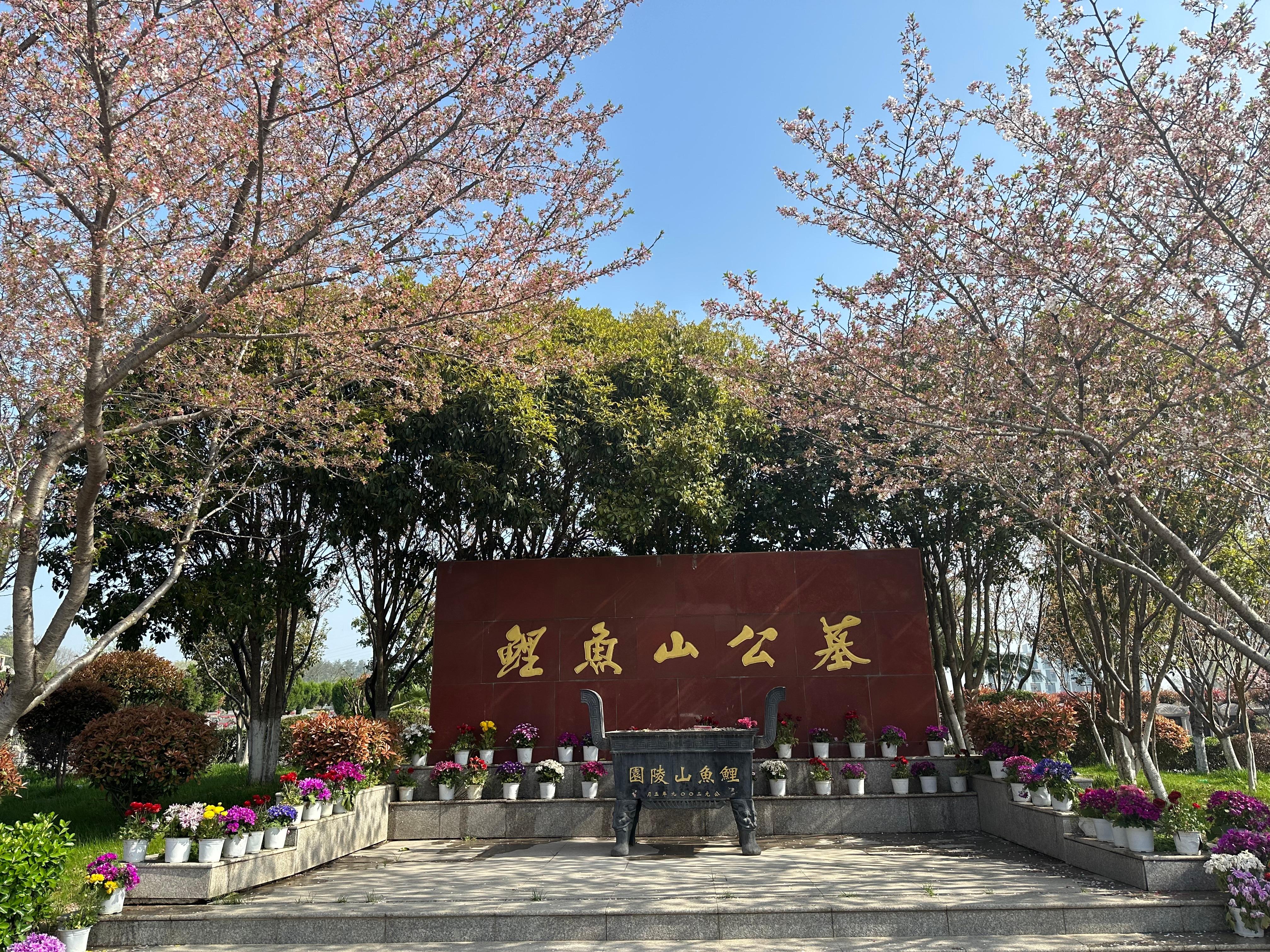 鲤鱼山公墓