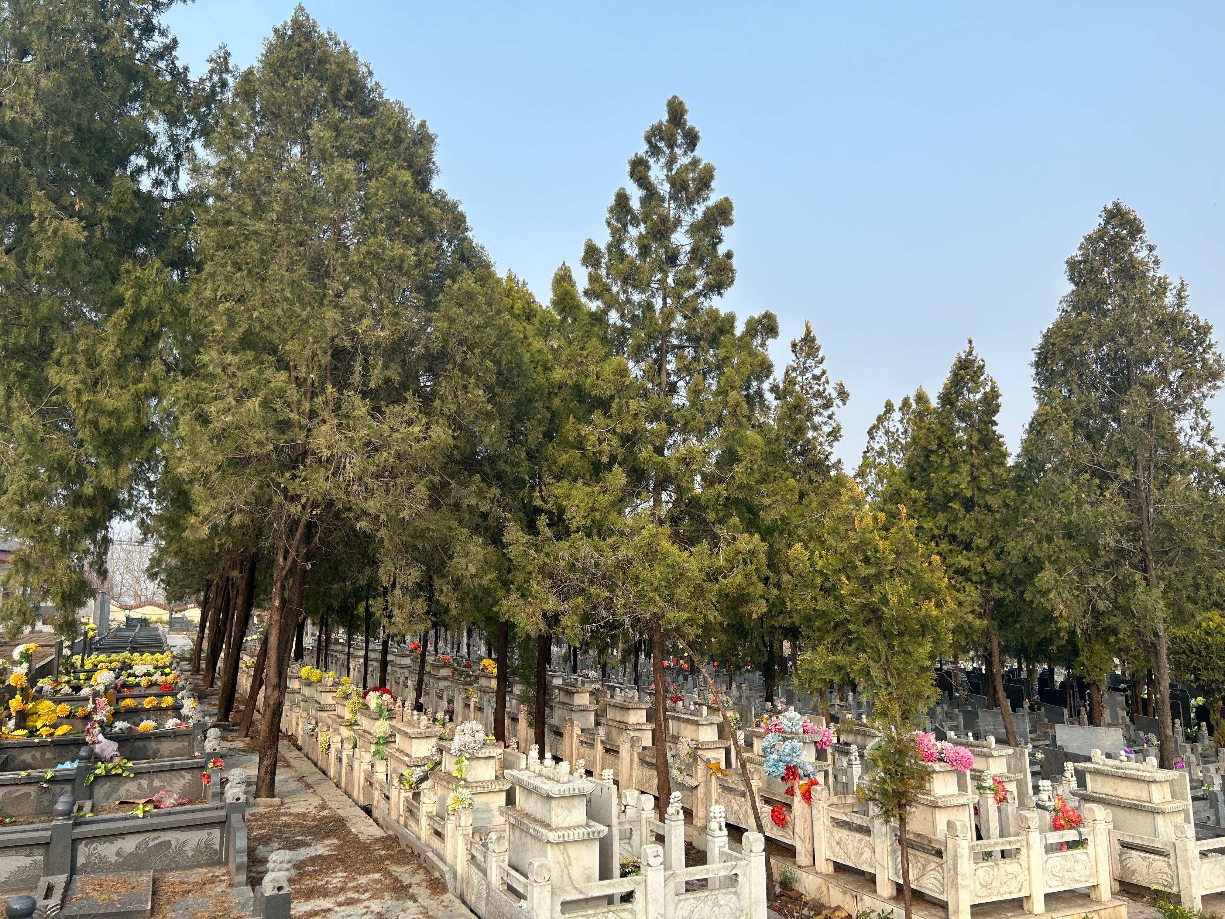 方城县十里庙公墓园区图片