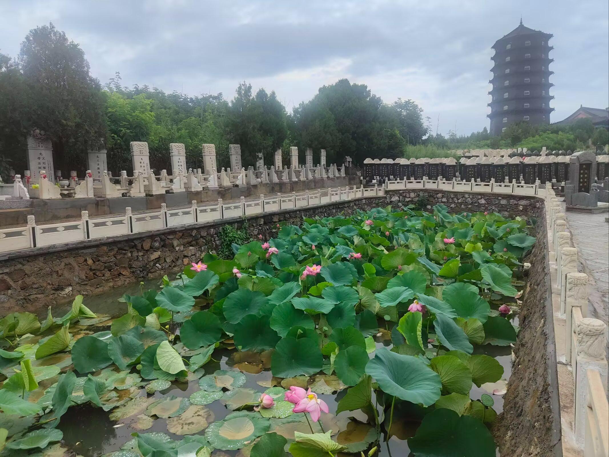 沈阳市甲宝山公墓园区图片