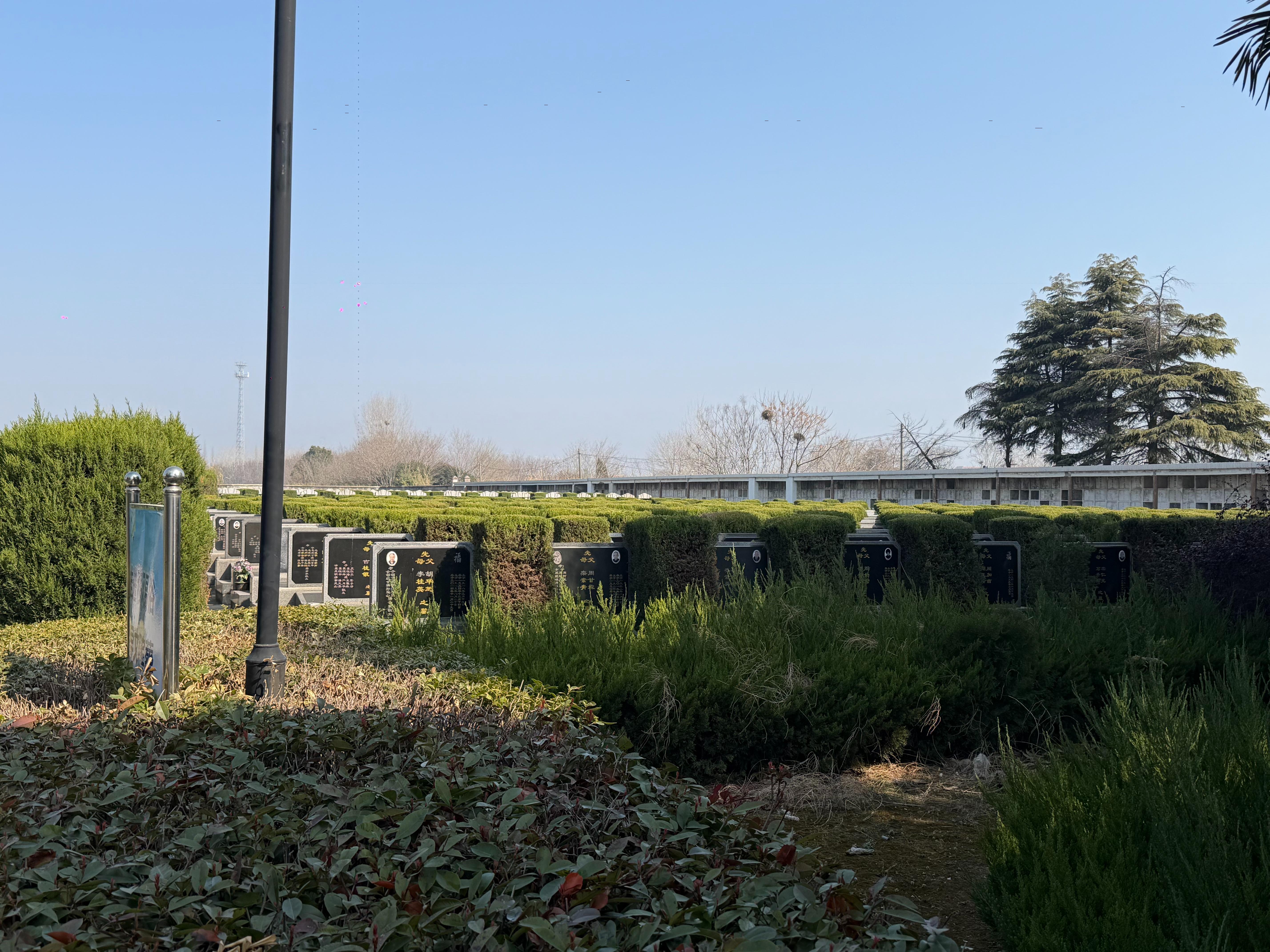 泰州医药高新区野徐墓园园区图片