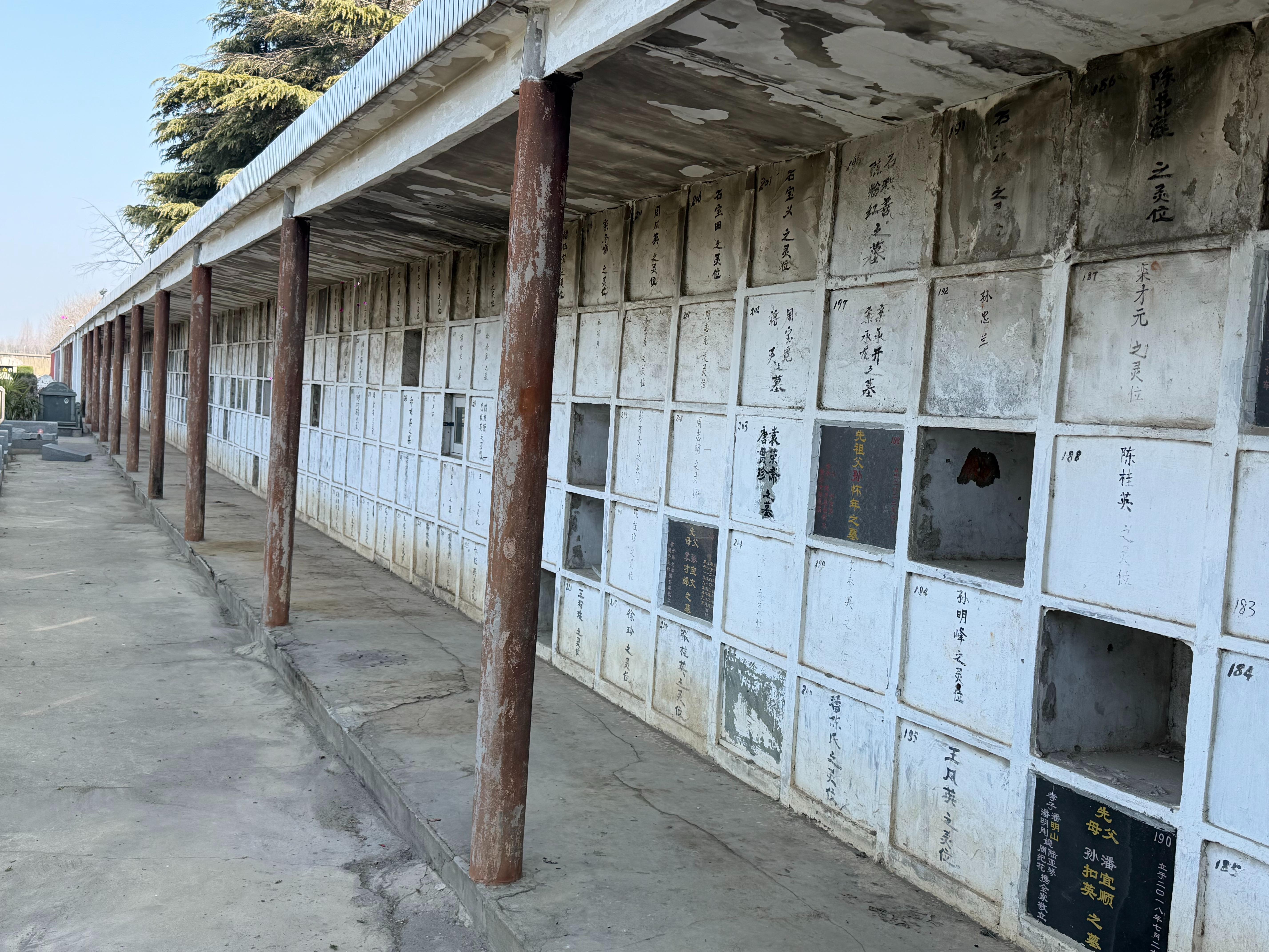 泰州医药高新区野徐墓园园区图片