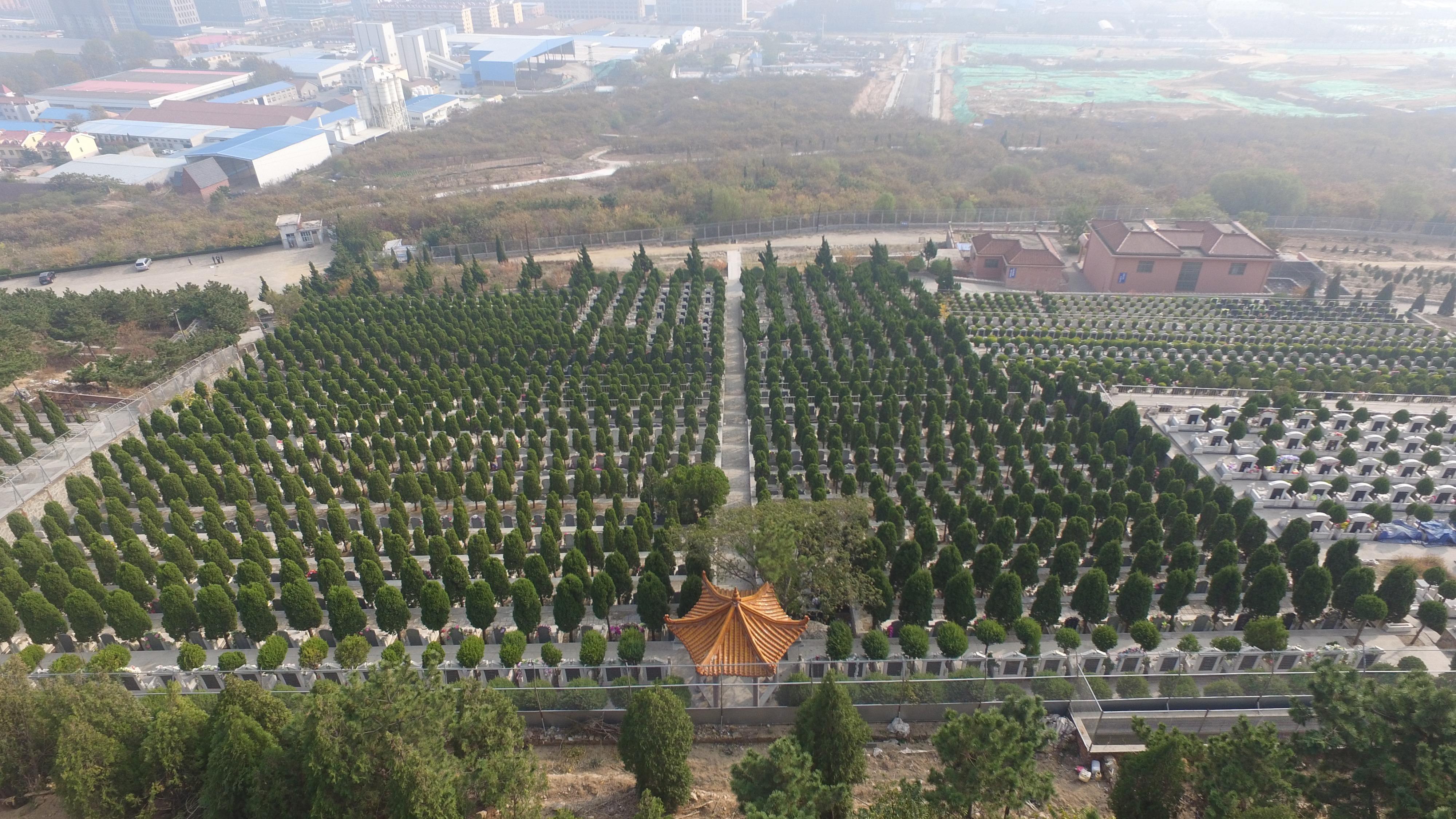 黄岛区卧龙山文化陵园园区图片