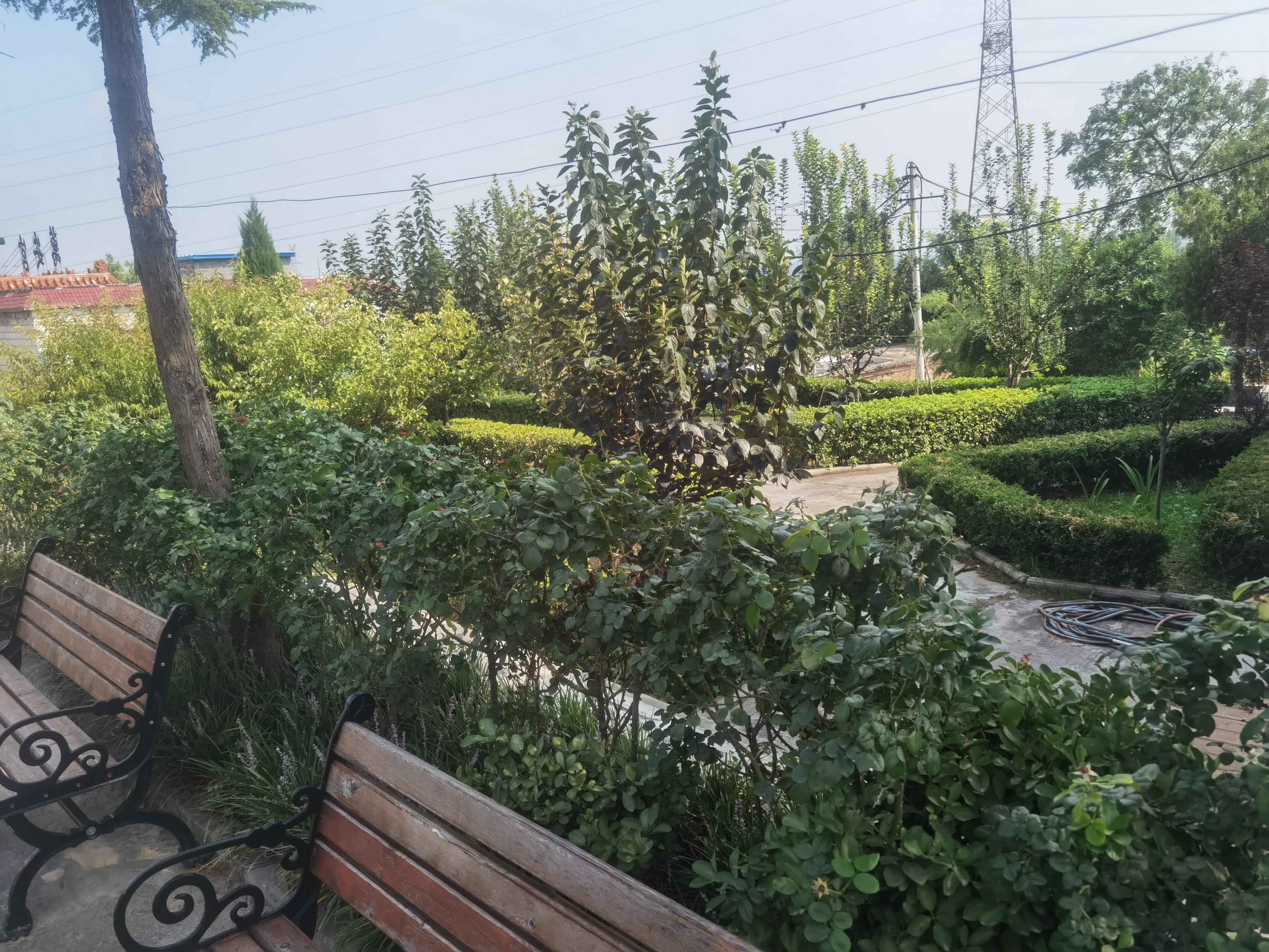 新乡市凤泉区凤凰山公墓服务所园区图片