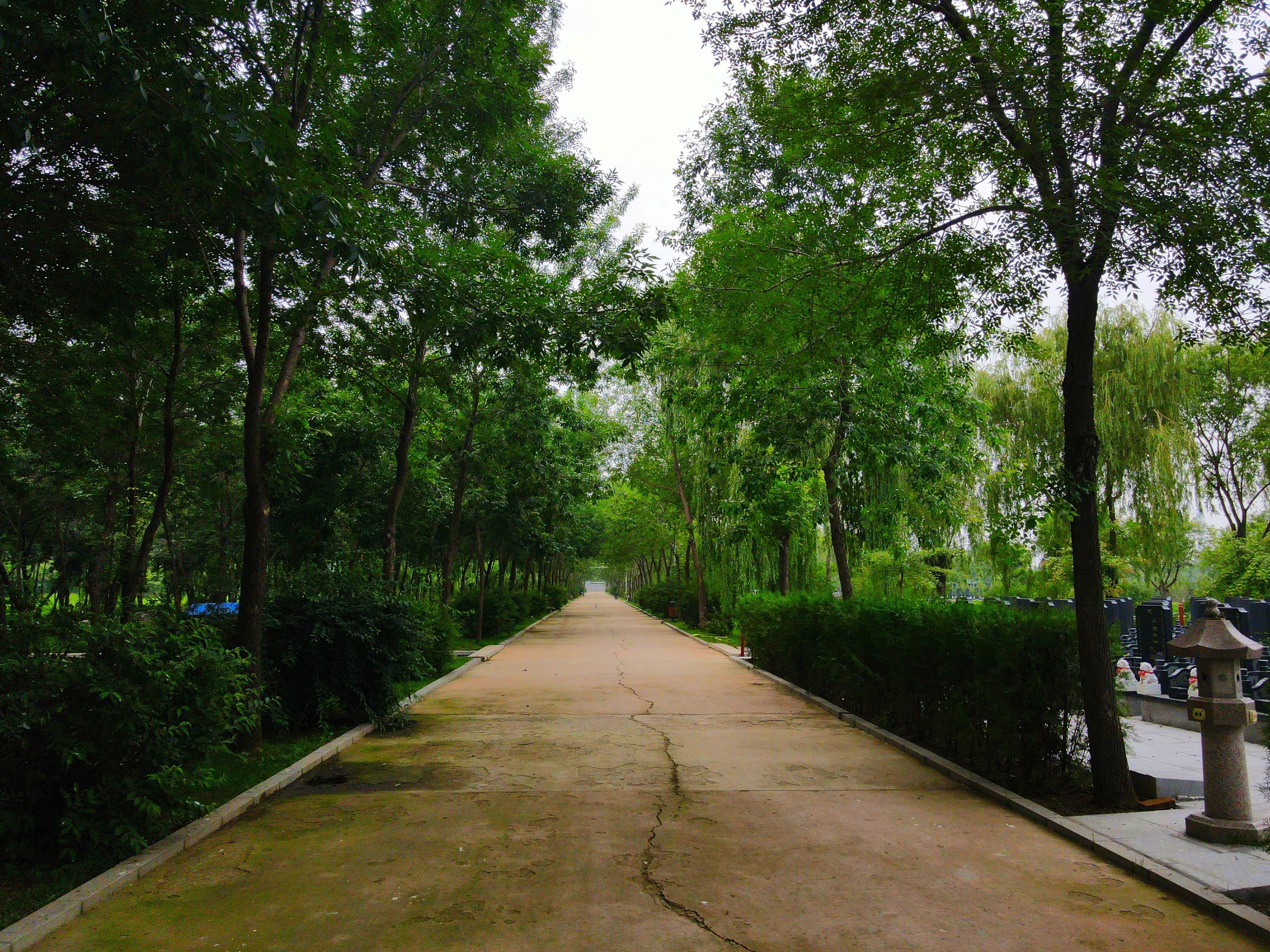 盘锦市大洼区龙凤园公墓园区图片