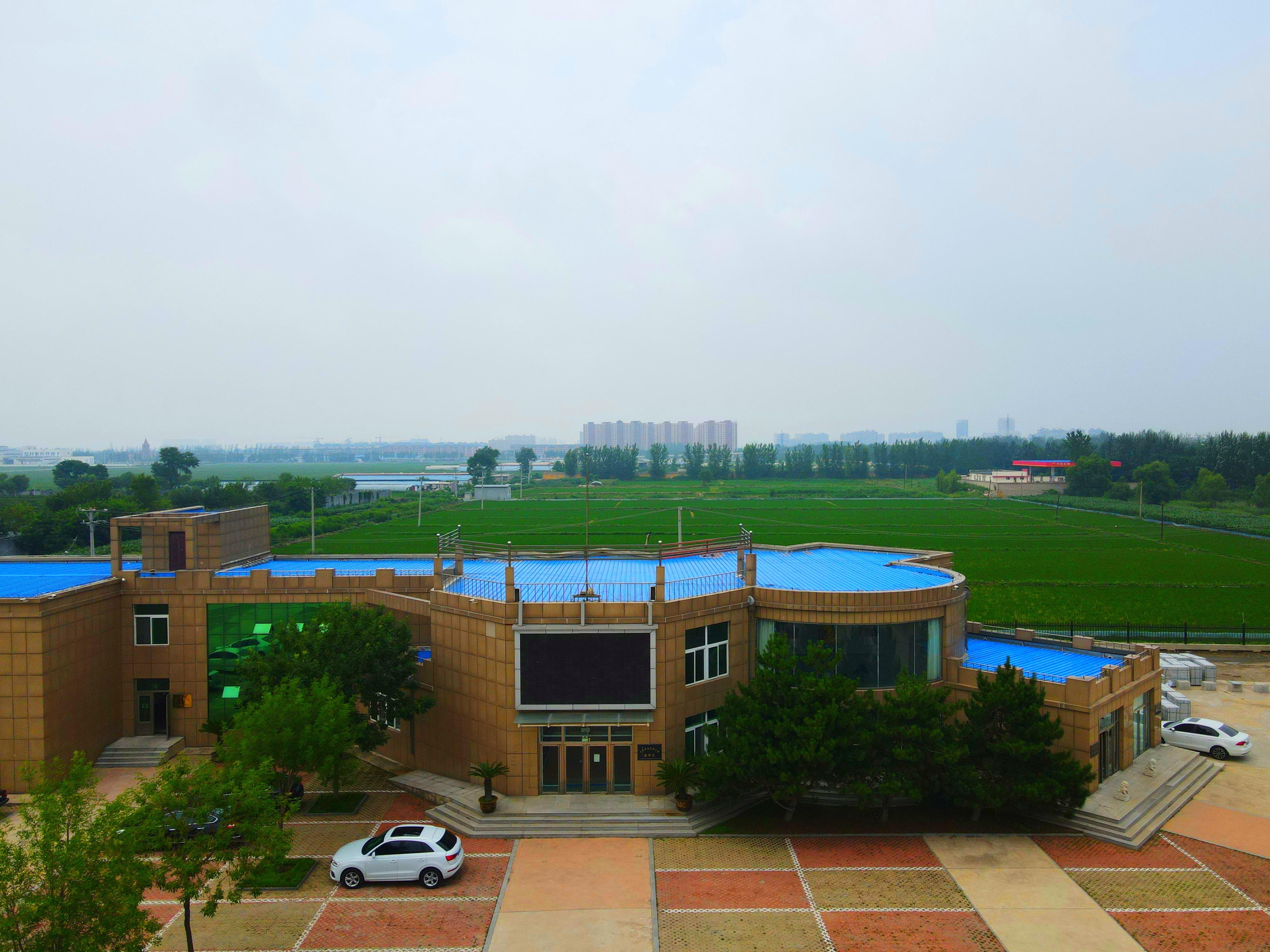 盘锦市大洼区龙凤园公墓园区图片