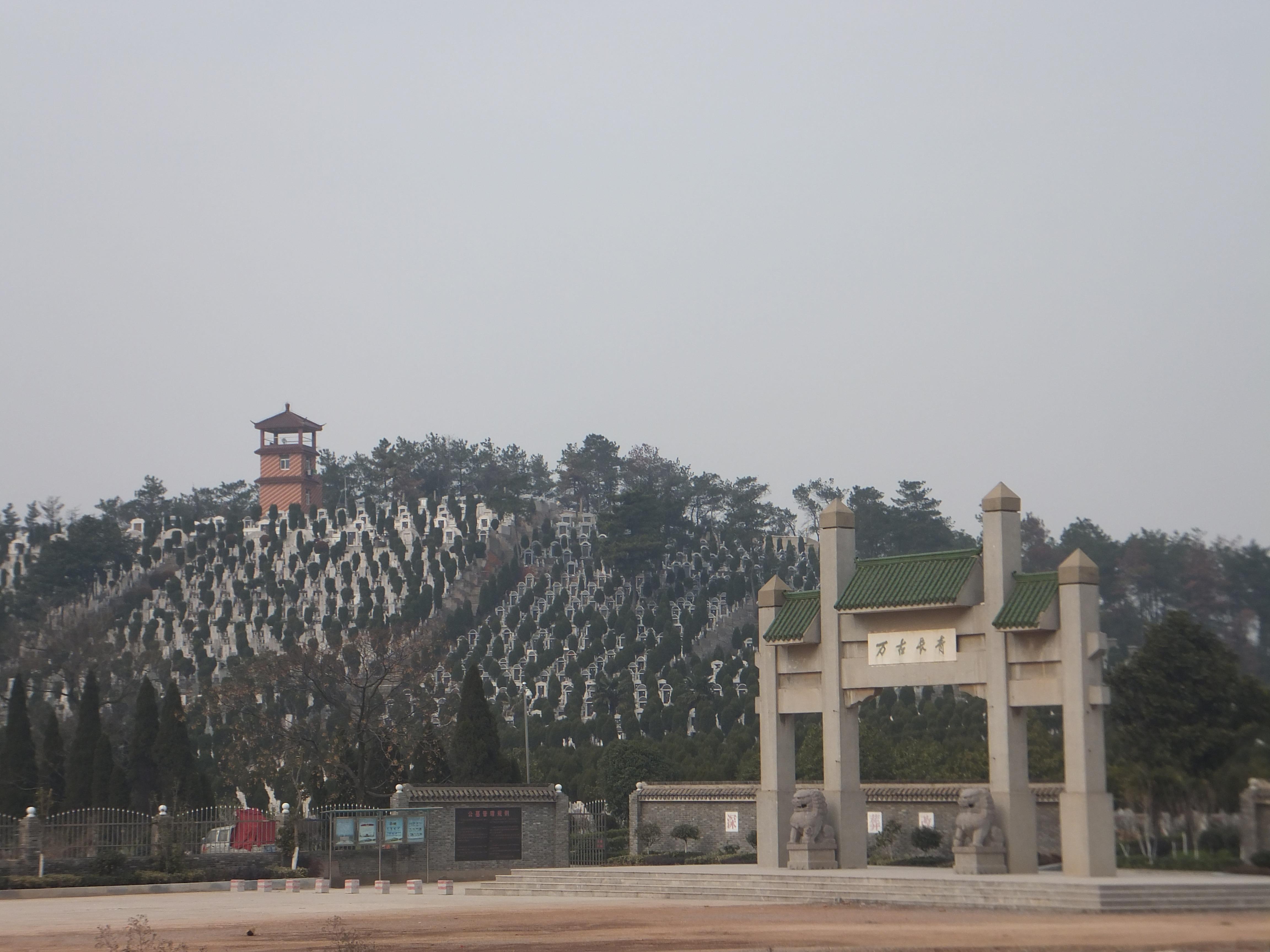 鲤鱼山公墓园区图片