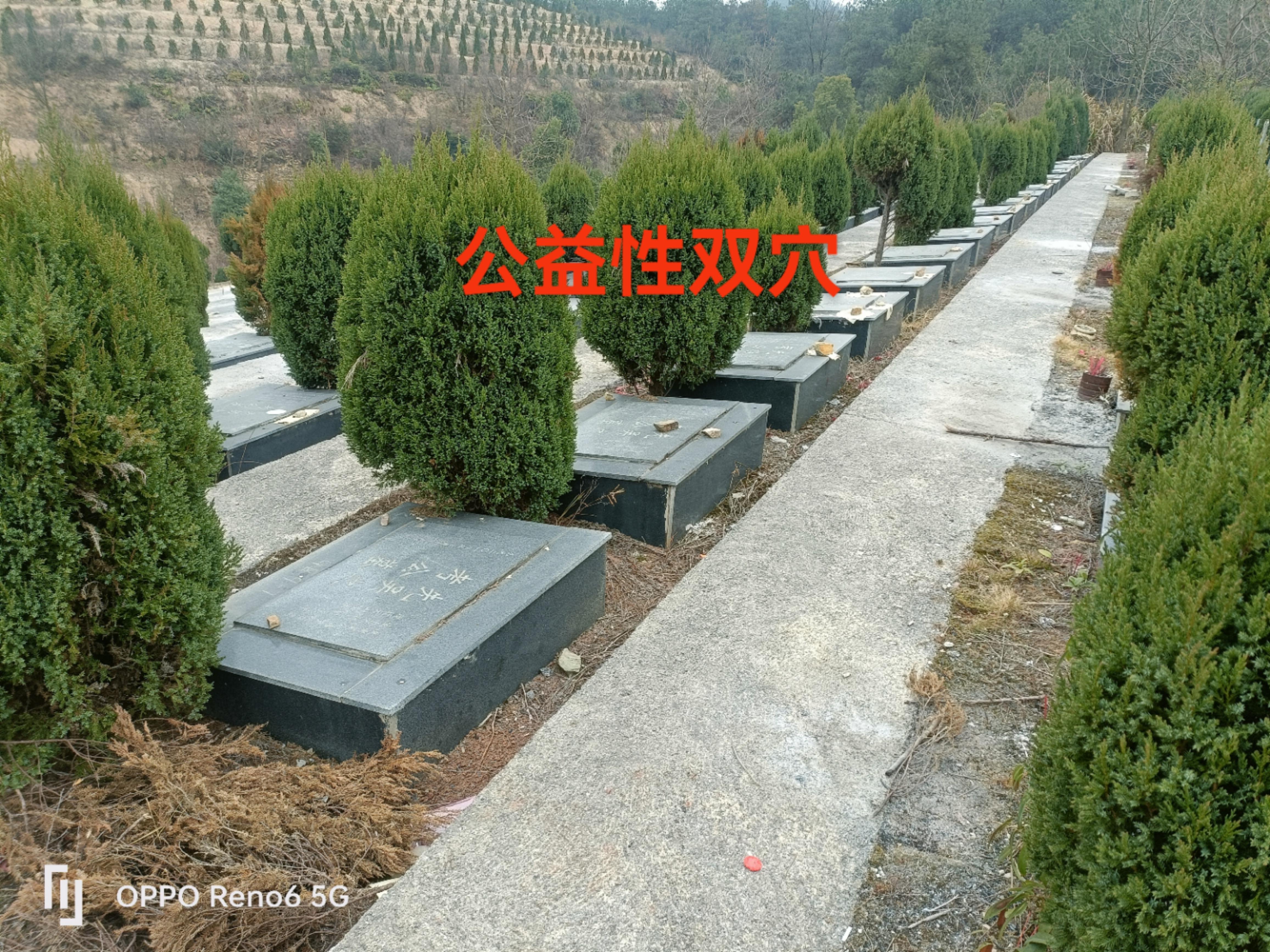 玉山县殡葬事业服务中心园区图片