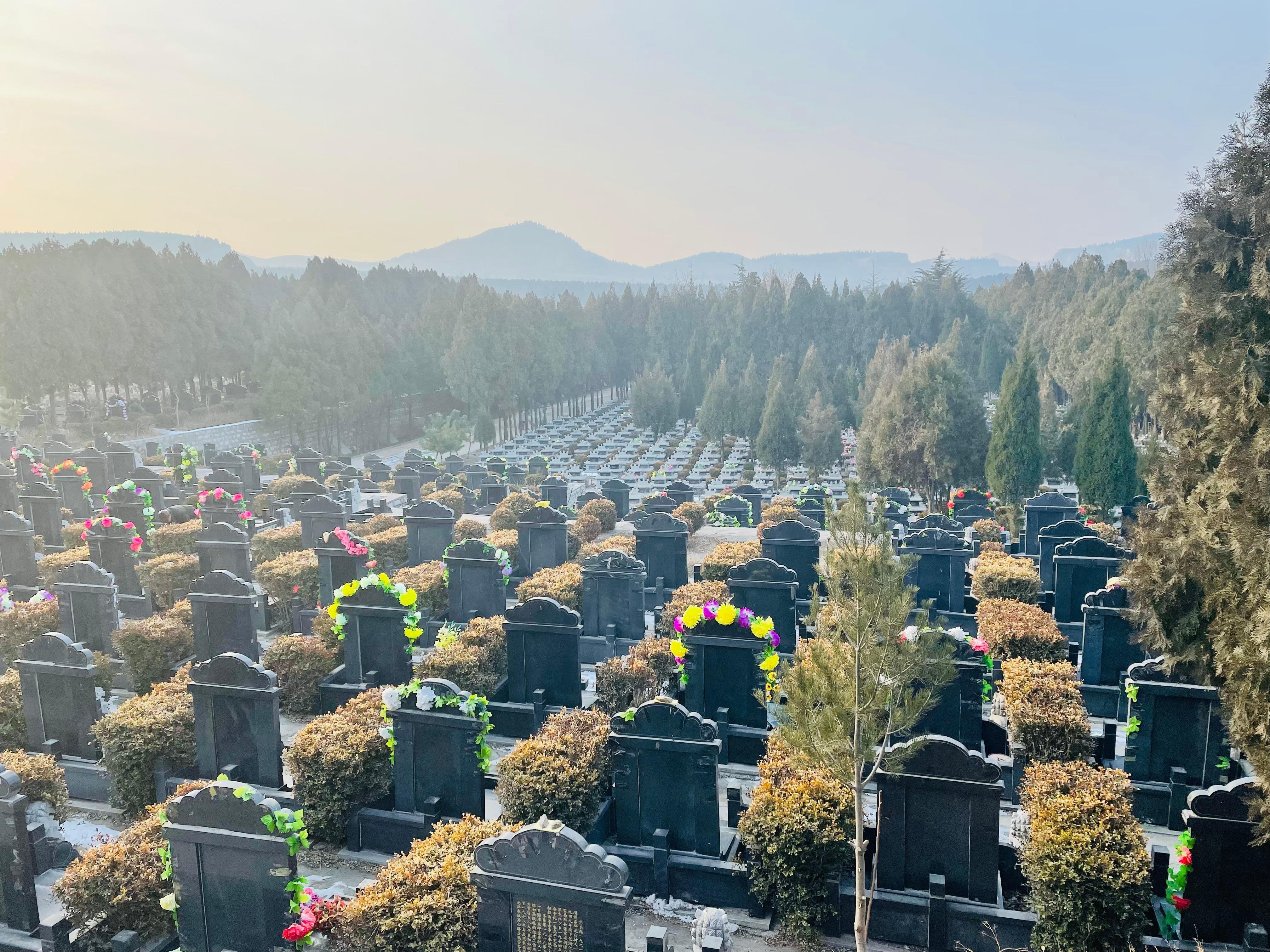 淄博市临淄区黄埠山公墓园区图片