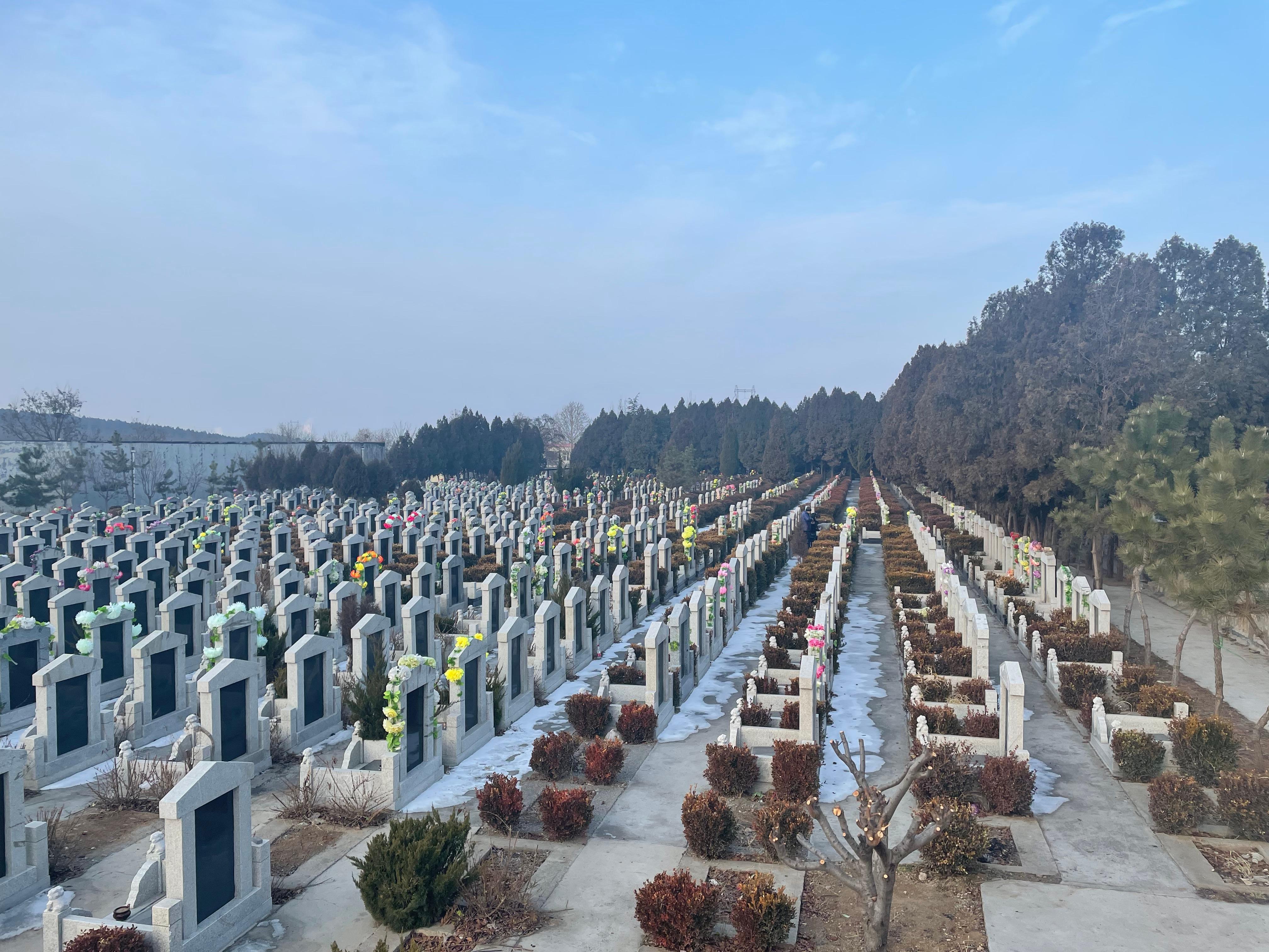 淄博市临淄区黄埠山公墓园区图片