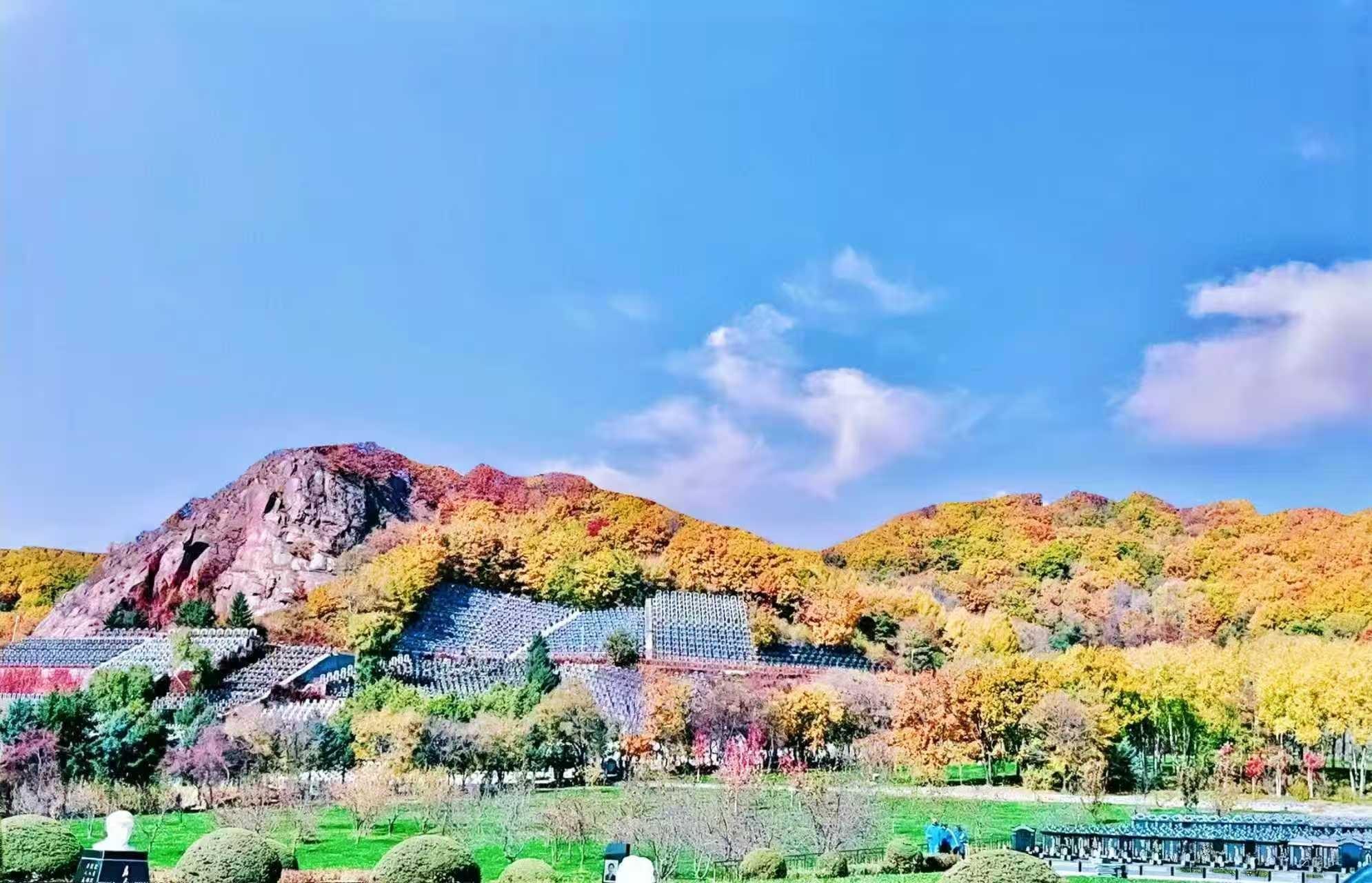 哈尔滨松鹤轩陵园有限责任公司园区图片
